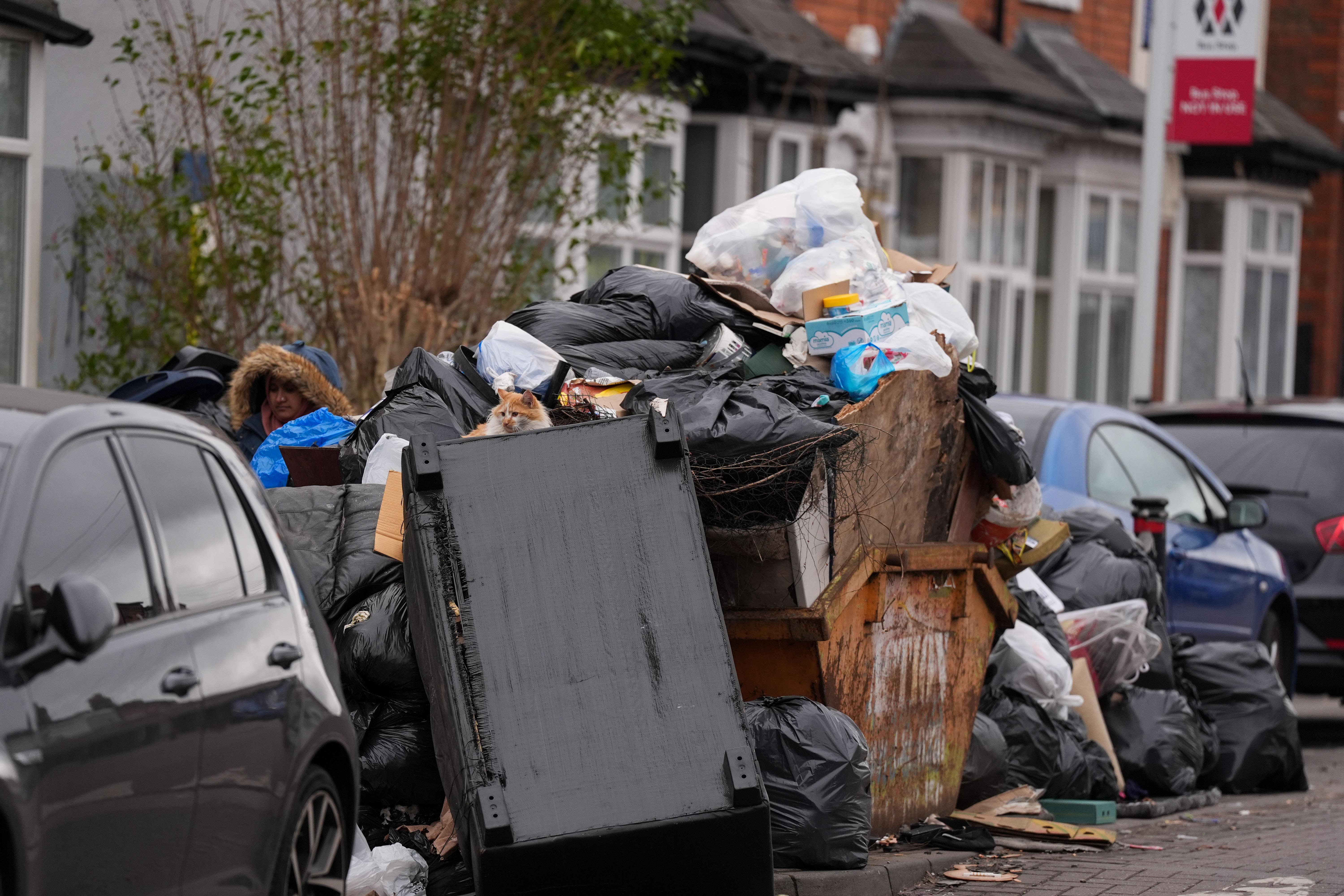 A cat sits among uncollected refuse bags in the Sparkhill area of Birmingham, amid the ongoing refuse workers’ strike in the city (Jacob King/PA)