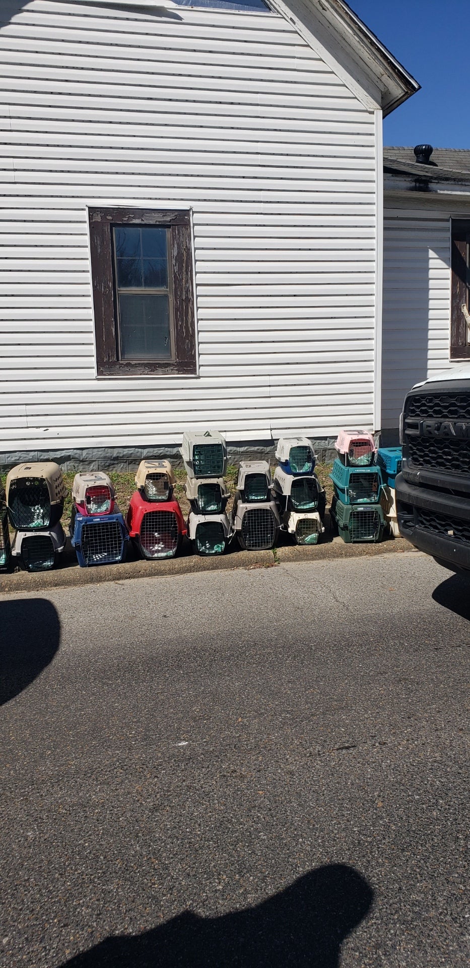 Dozens of cats were rescued from an Arkansas home on Monday after a man living at the property was accused of elder abuse