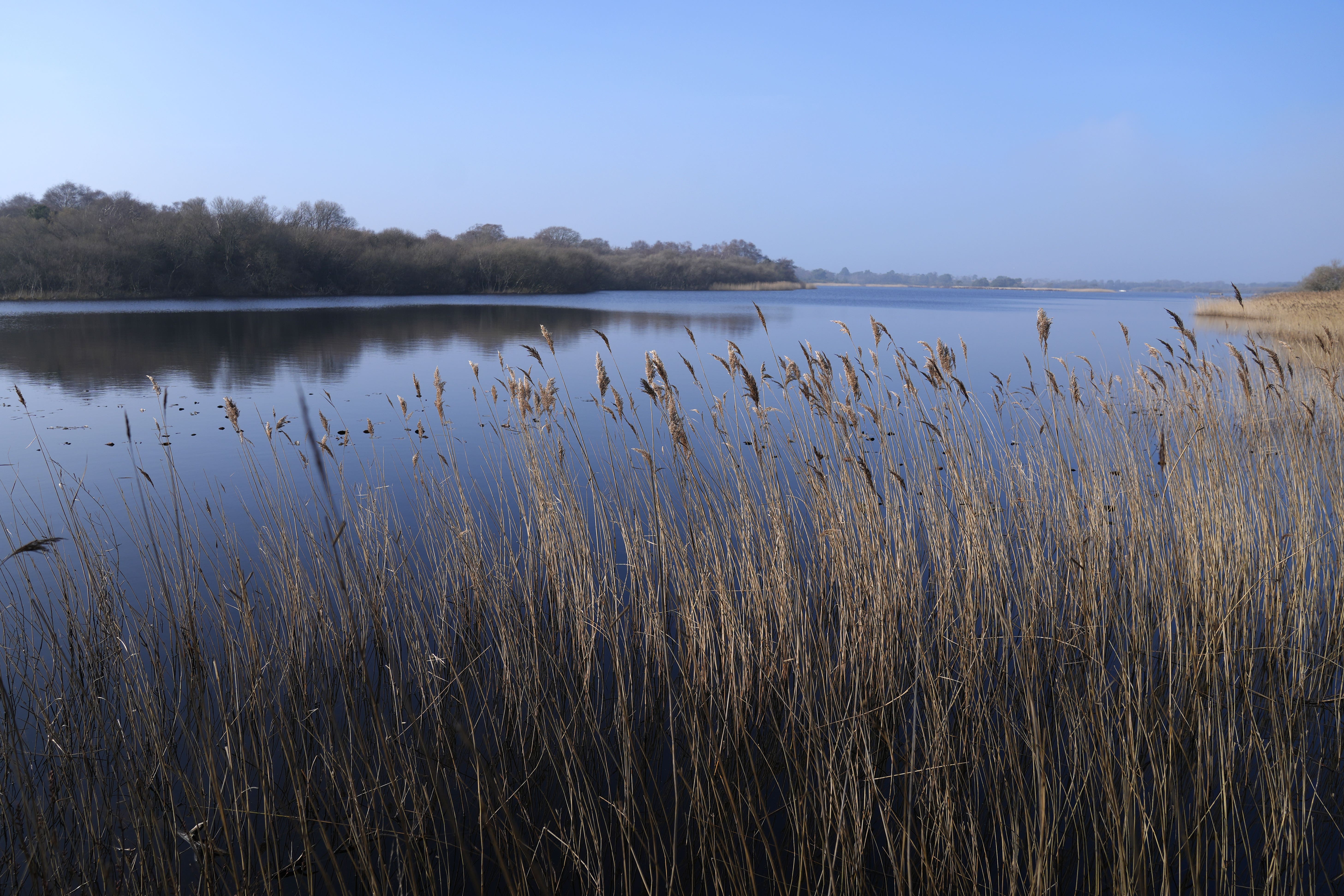 The British Standards Institution said it will help to drive capital into projects like restoring wetlands, improving water quality, building flood resilience and creating new habitats (Andrew Matthews/PA)