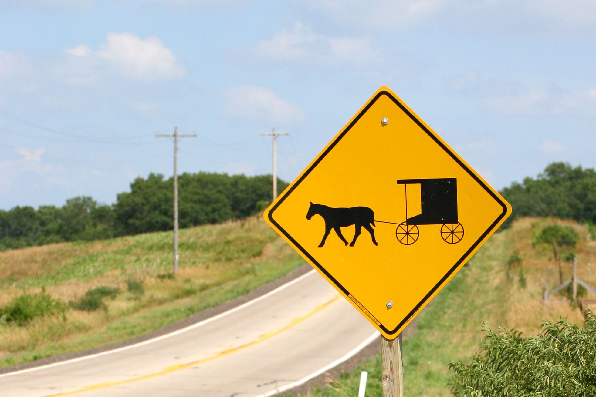 A young Amish girl and a horse have been killed after a suspected DUI driver collided with a buggy in Michigan