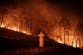 At least 18 dead and ancient temple destroyed as South Korea hit by worst wildfires in history