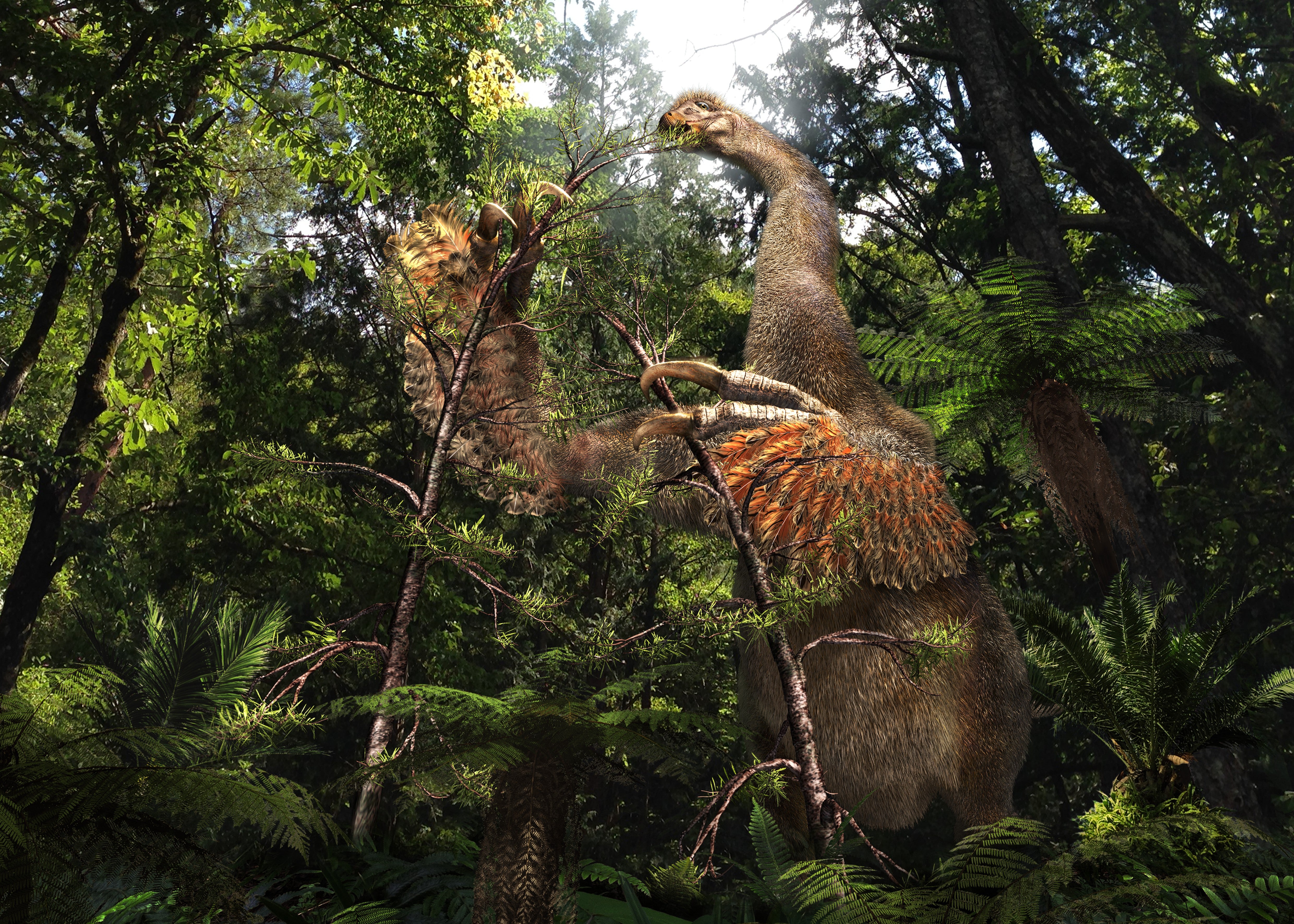 Artist rendering of two-clawed dinosaur discovered in Gobi Desert