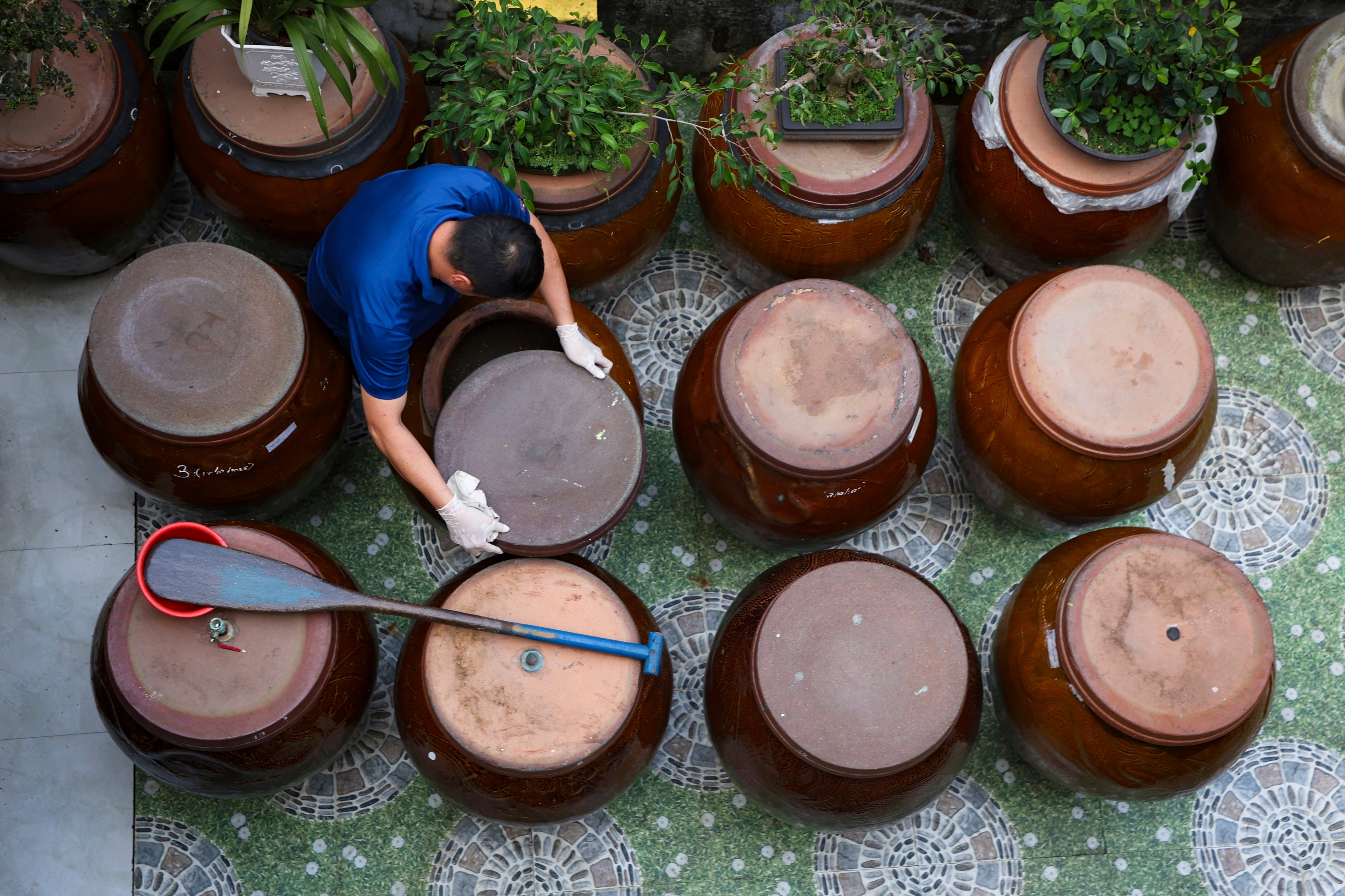 Climate Vietnam Fish Sauce