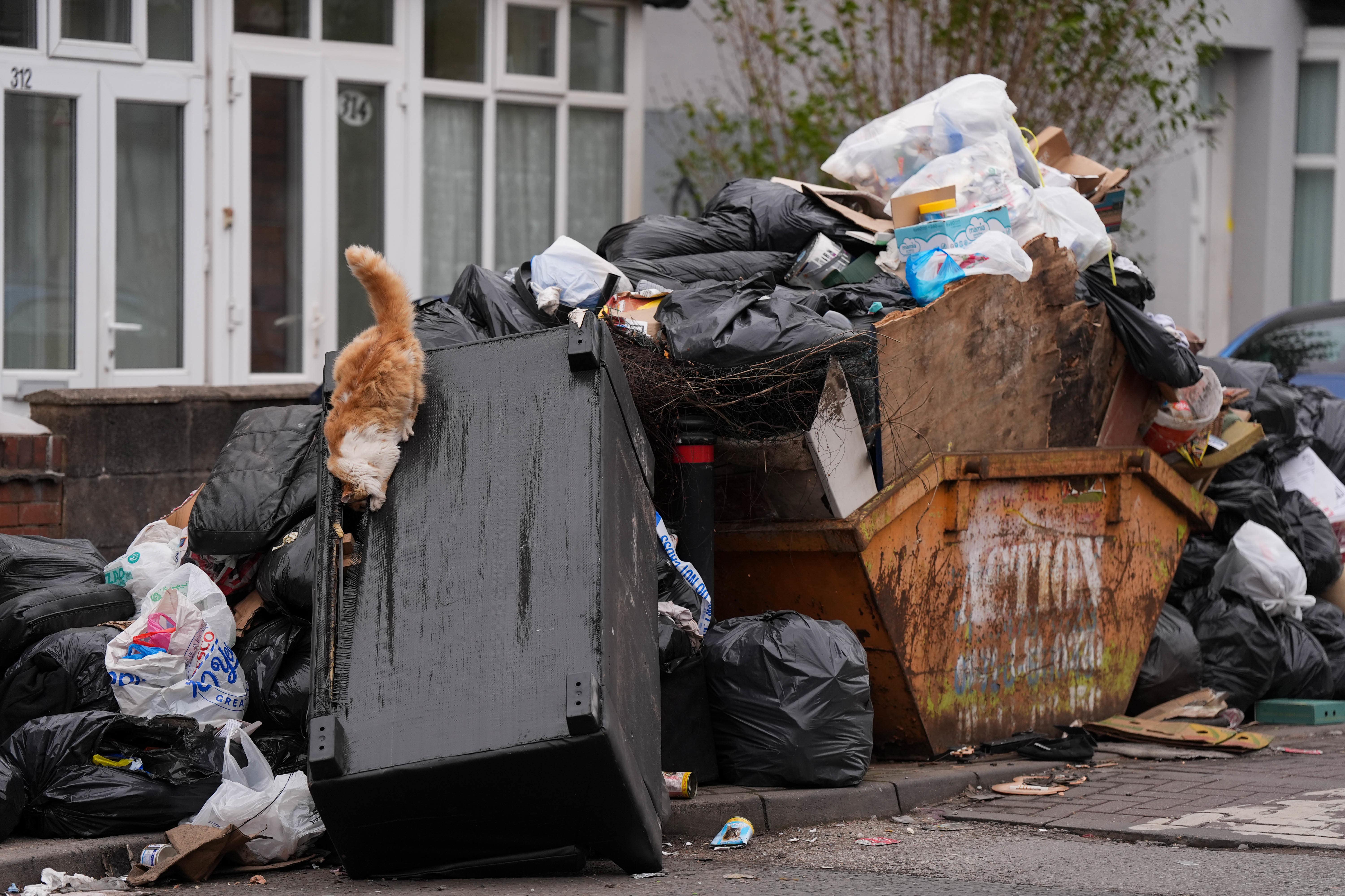 A cat rummages through furniture and uncollected refuse bags in the Sparkhill area of Birmingham (Jacob King/PA)