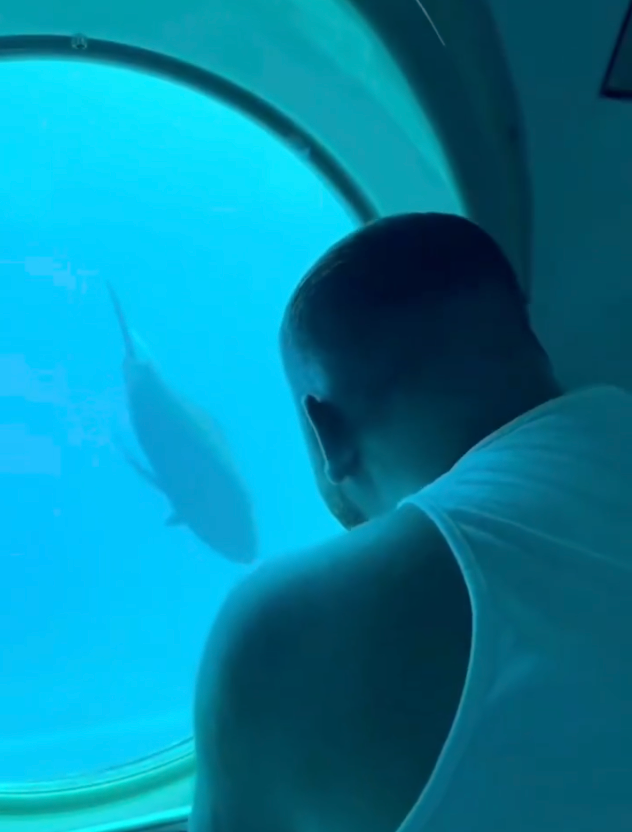 Curtis looks out from the Sindbad at a tropical fish 25metres under the Red Sea