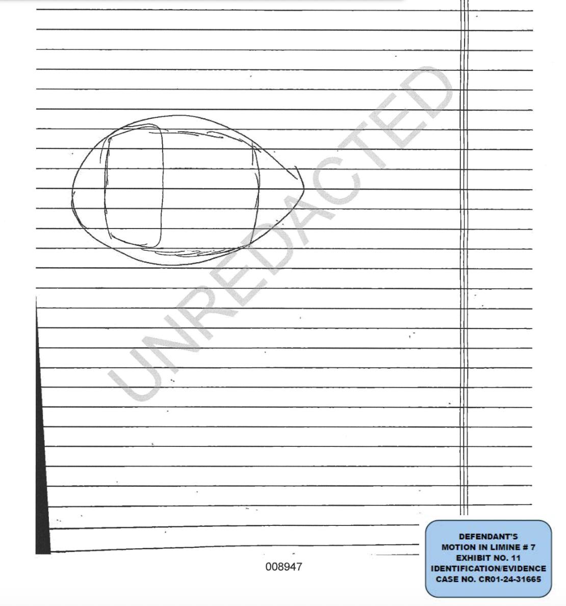 The witness drawing of the mask she allegedly saw a man wearing on the night of the murders is ‘remarkably similar’ to the balaclava purchased by Kohberger 11 months earlier, prosecutors say