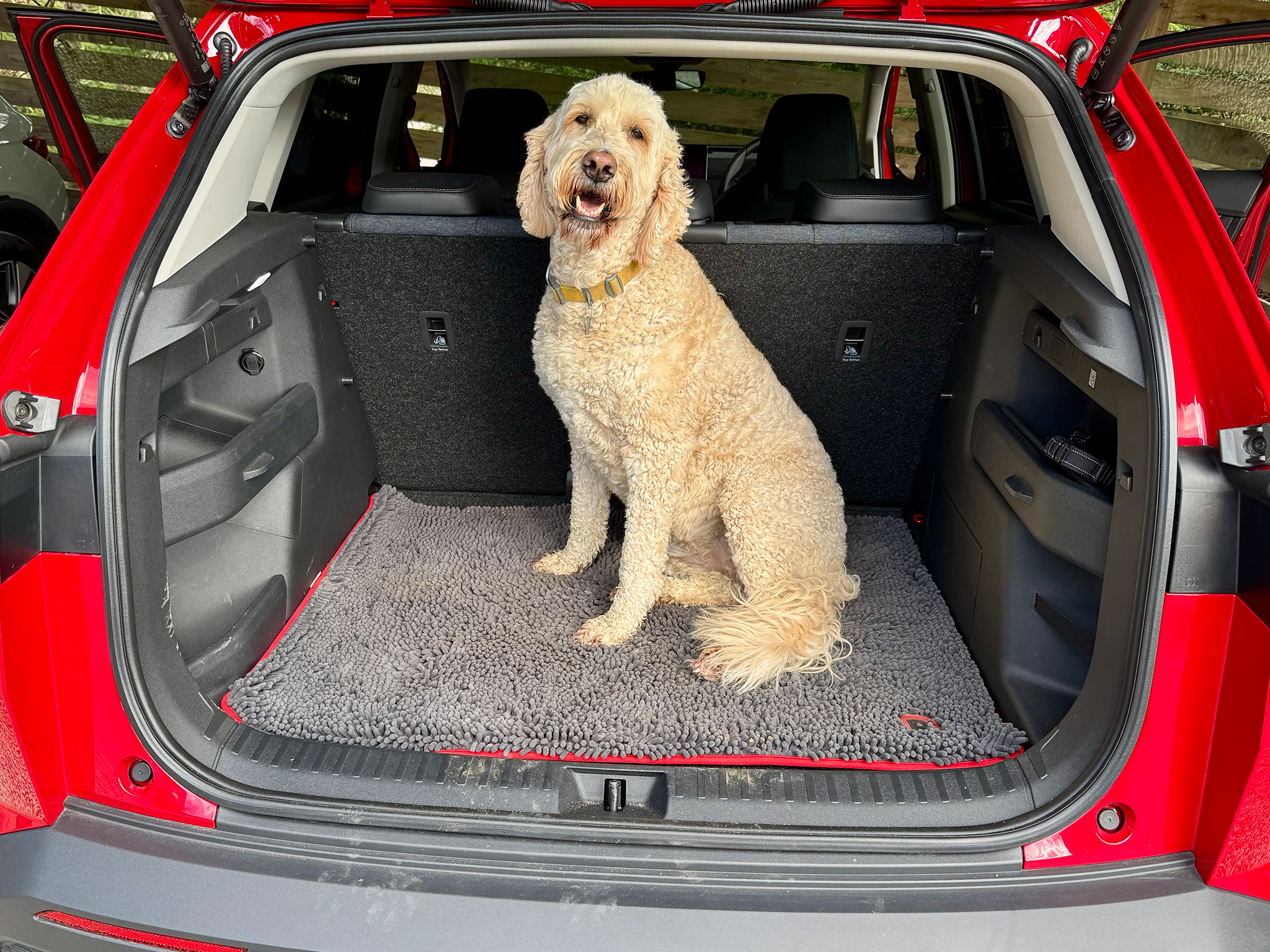 You get 470 litres in the boot, more than enough for a pooch.