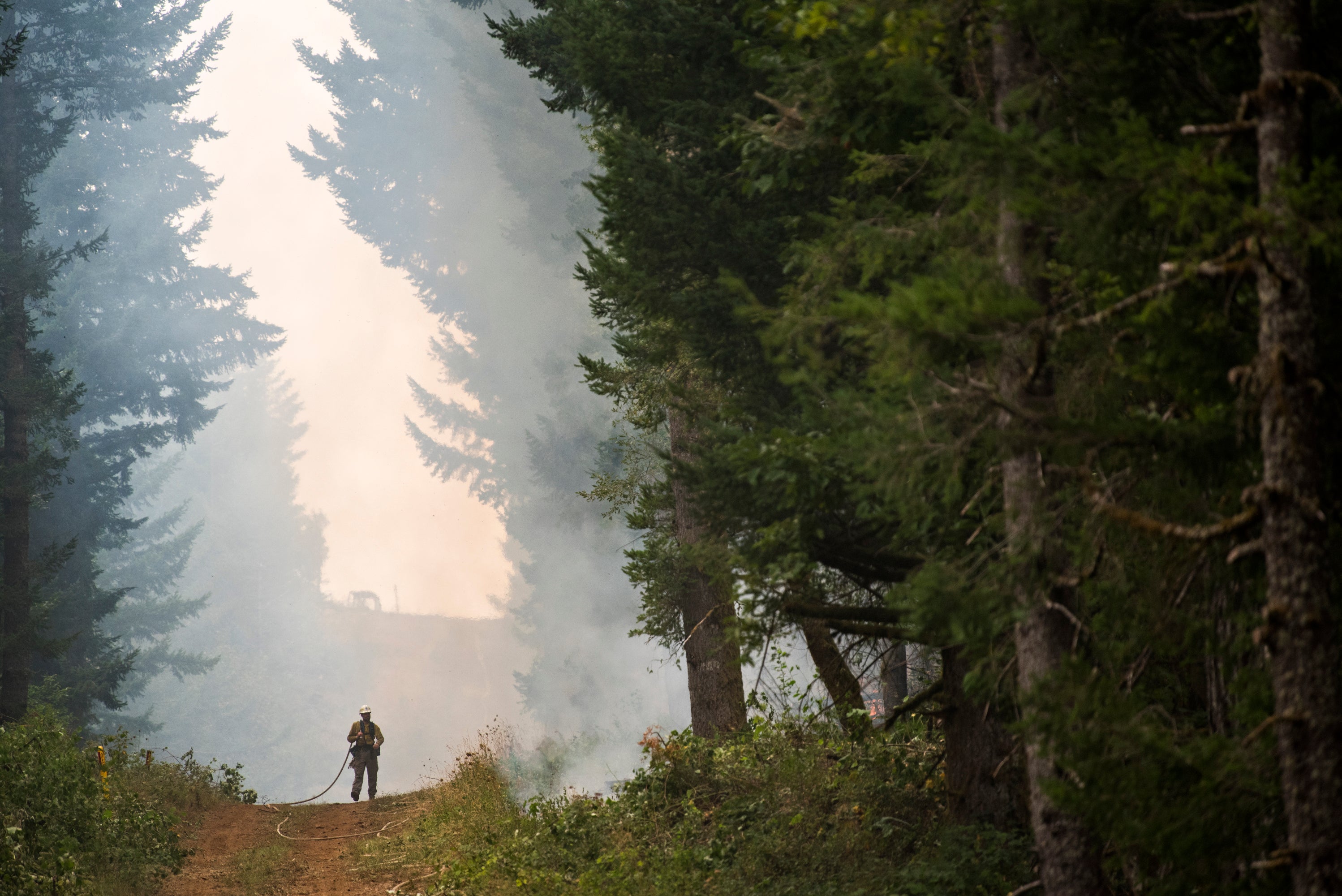Washington Wildfires Budget