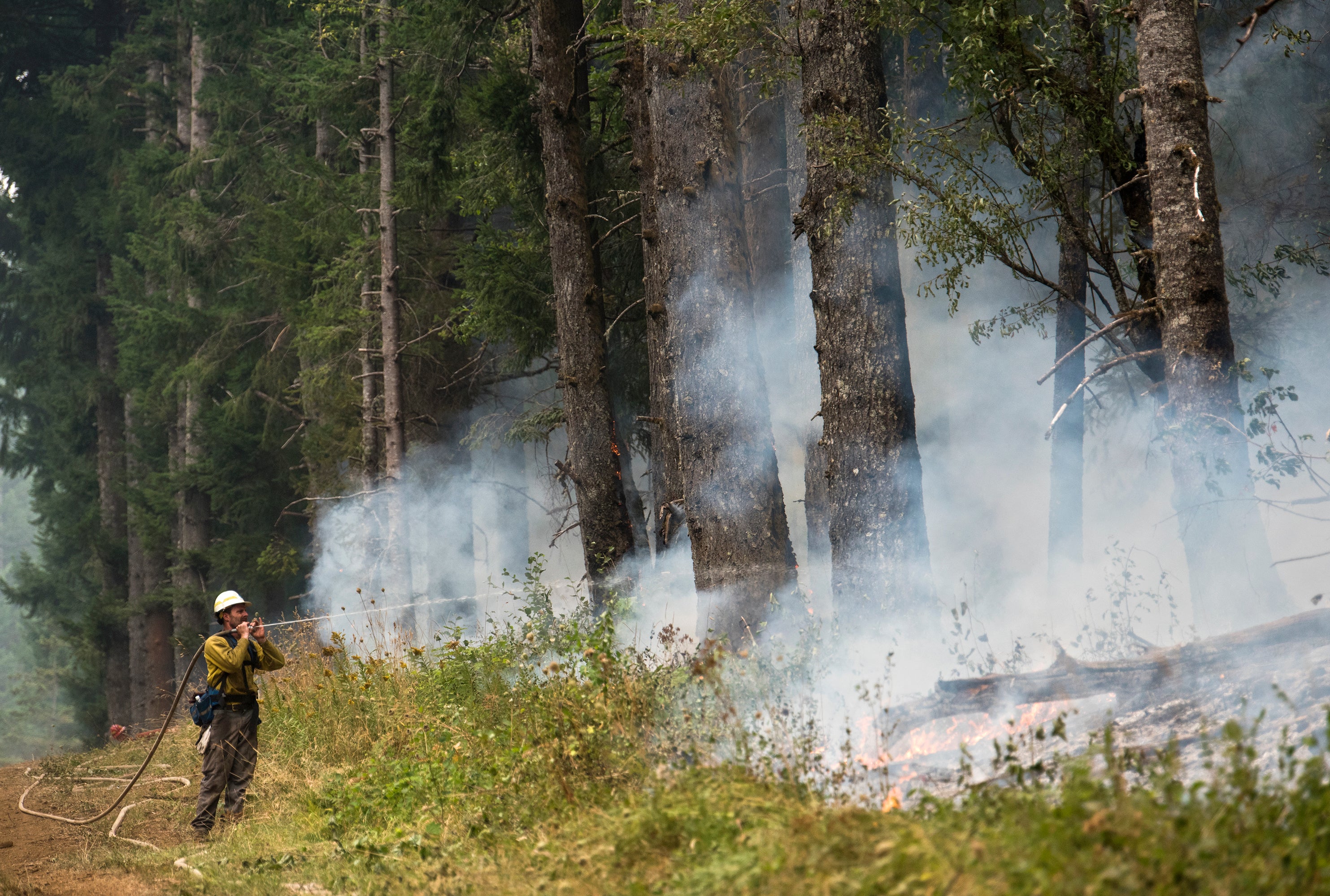 Washington Wildfires Budget