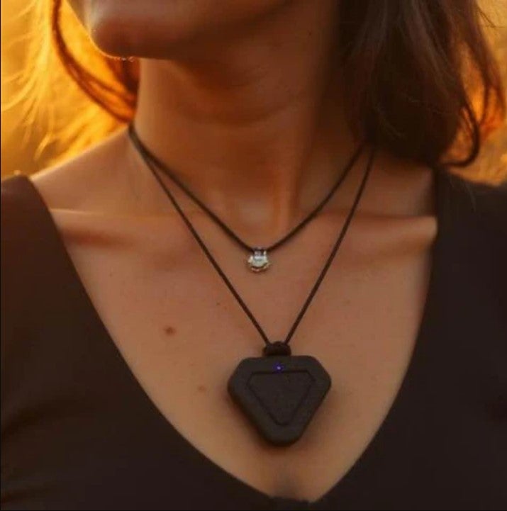 Why not wear your personal AI assistant around your neck?