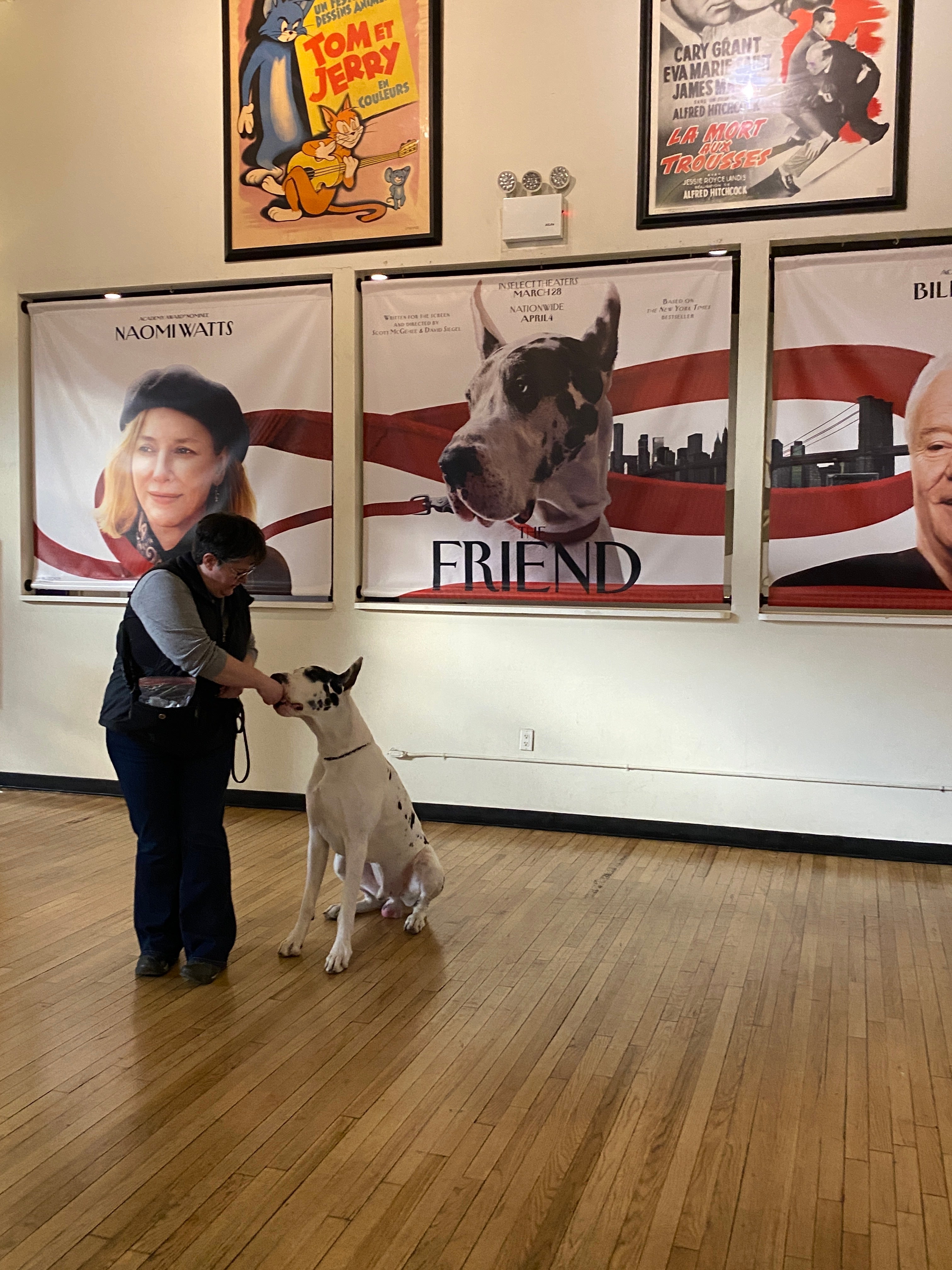 Bev Kilngensmith and Bing the Great Dane at an advance screening of 'The Friend'