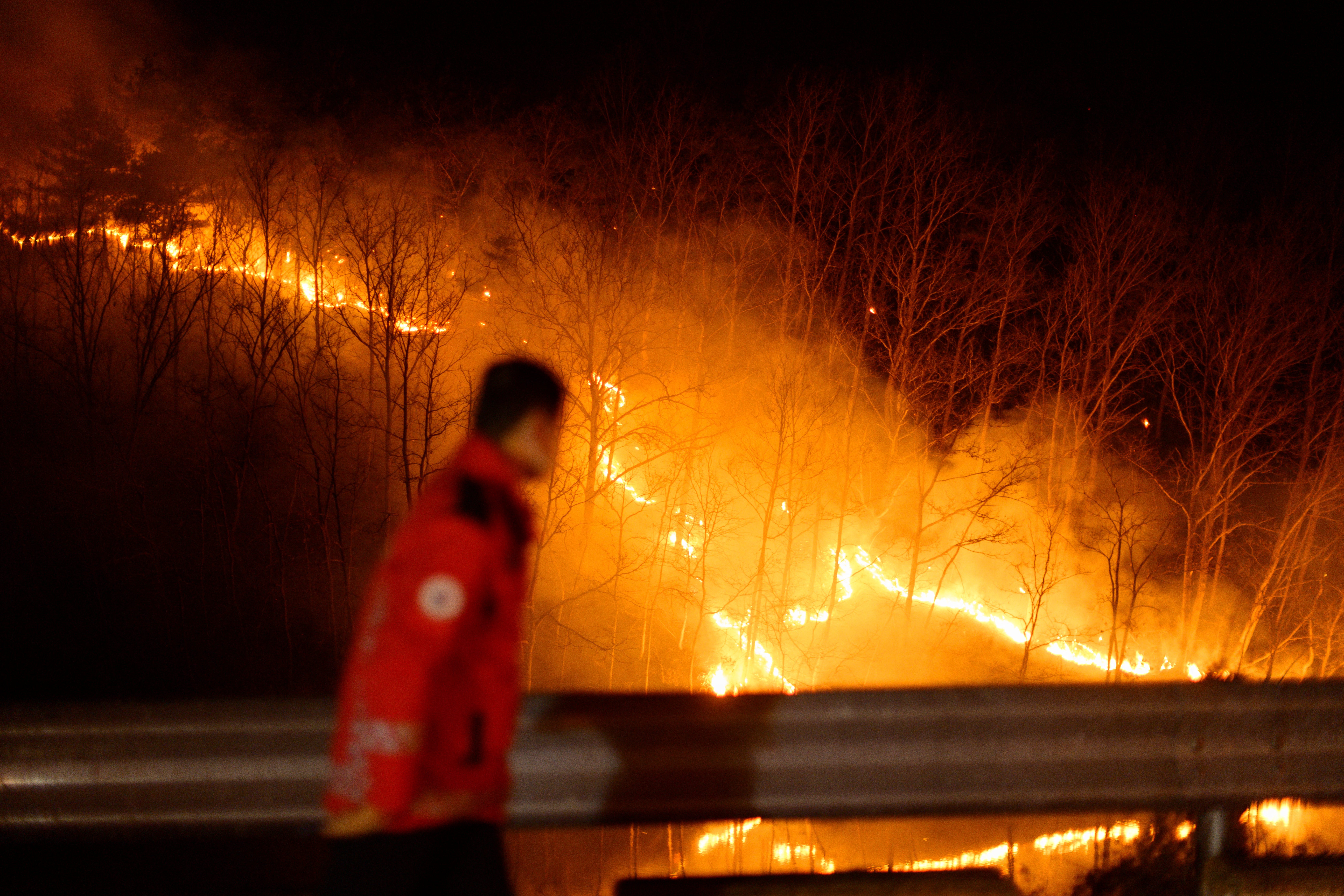 A member of the Korea Forest Service observes a wildfire from the side of a road in Andong