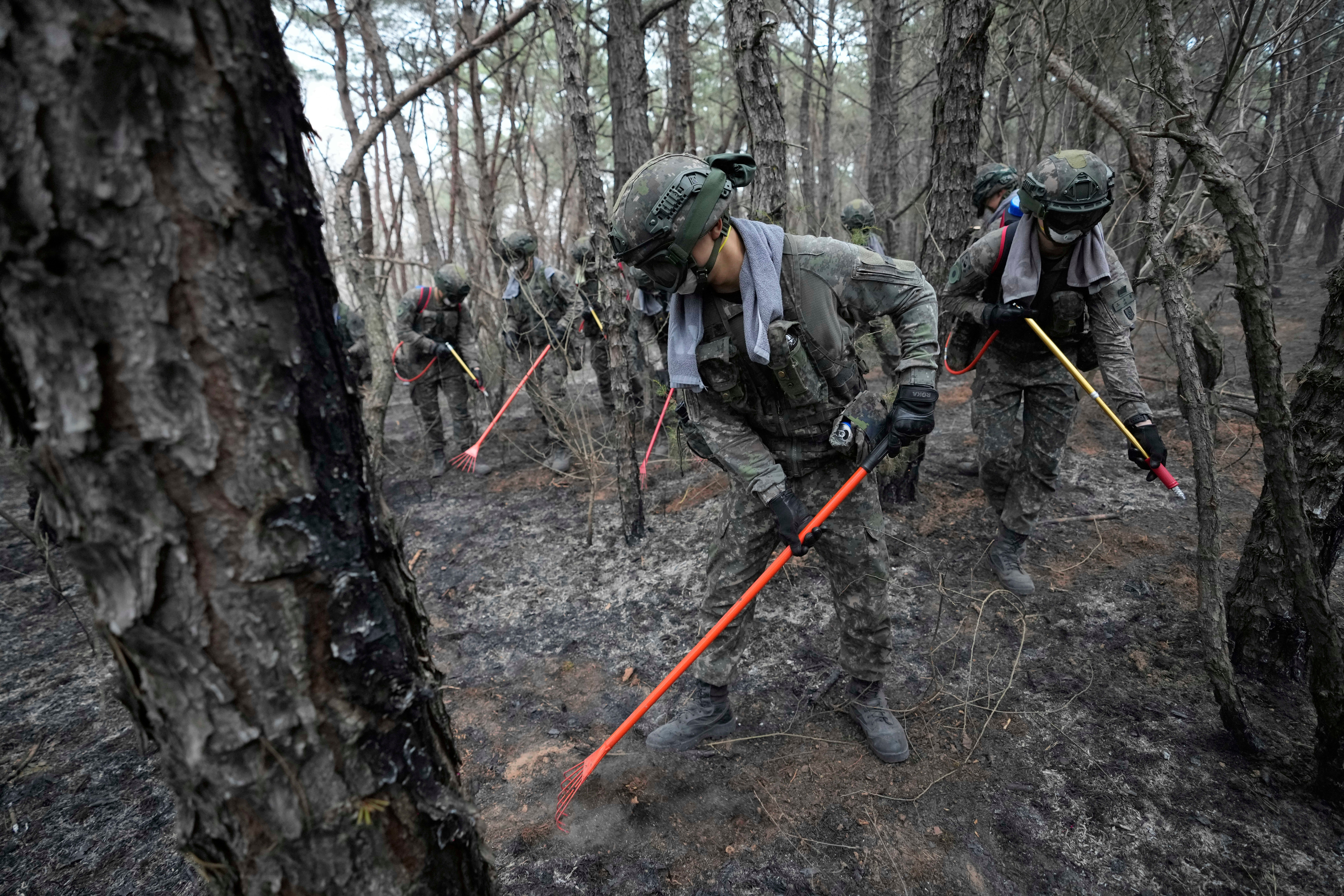 South Korea Wildfires