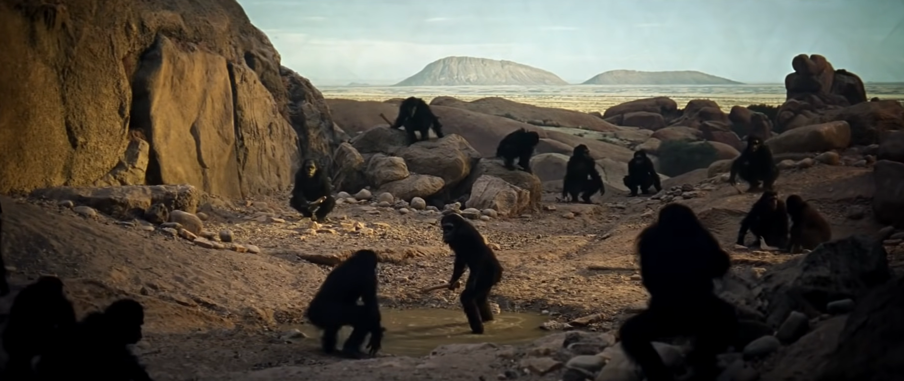 Monkey business: The opening of '2001: A Space Odyssey'