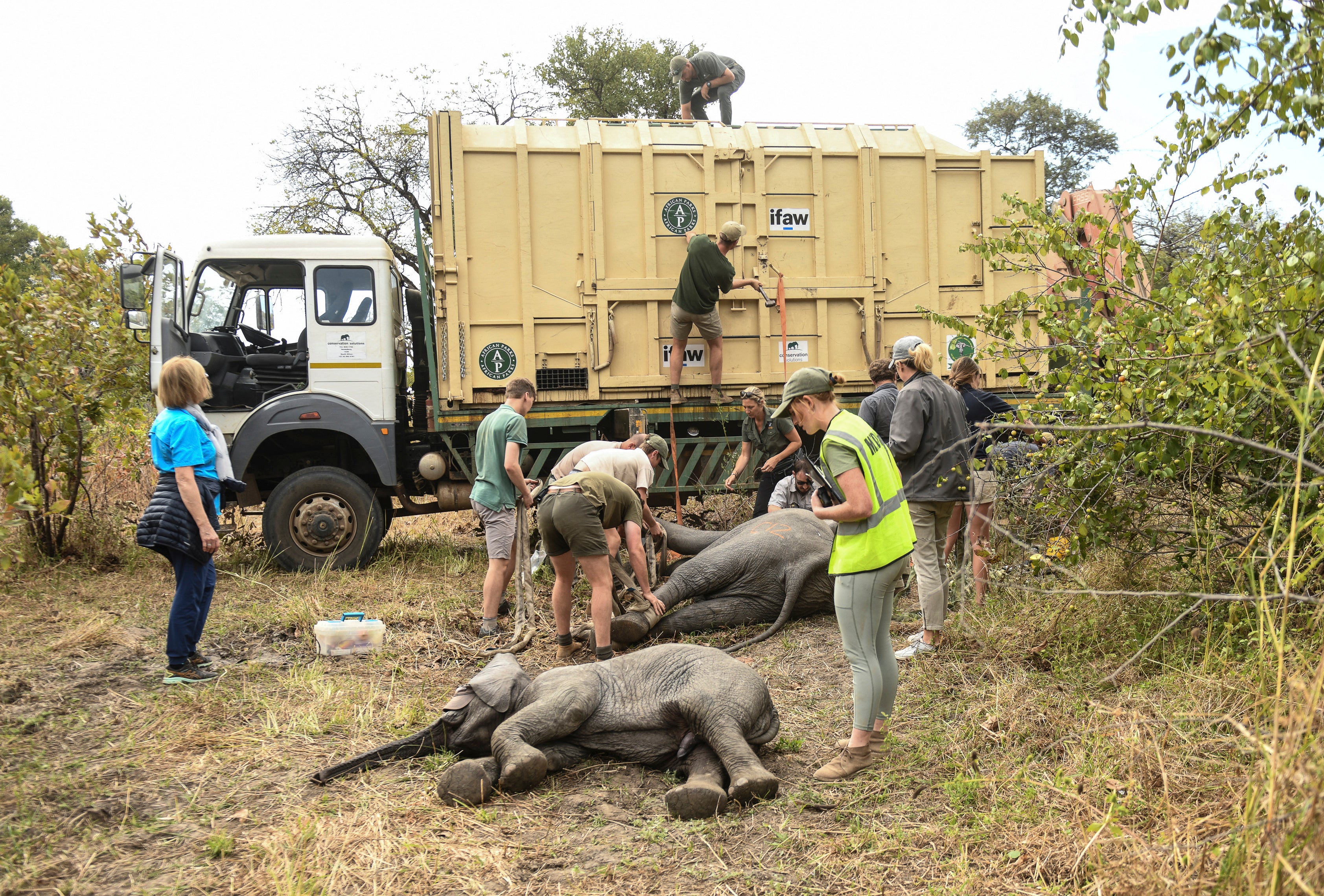 Malawi Conservation Project Gone Wrong