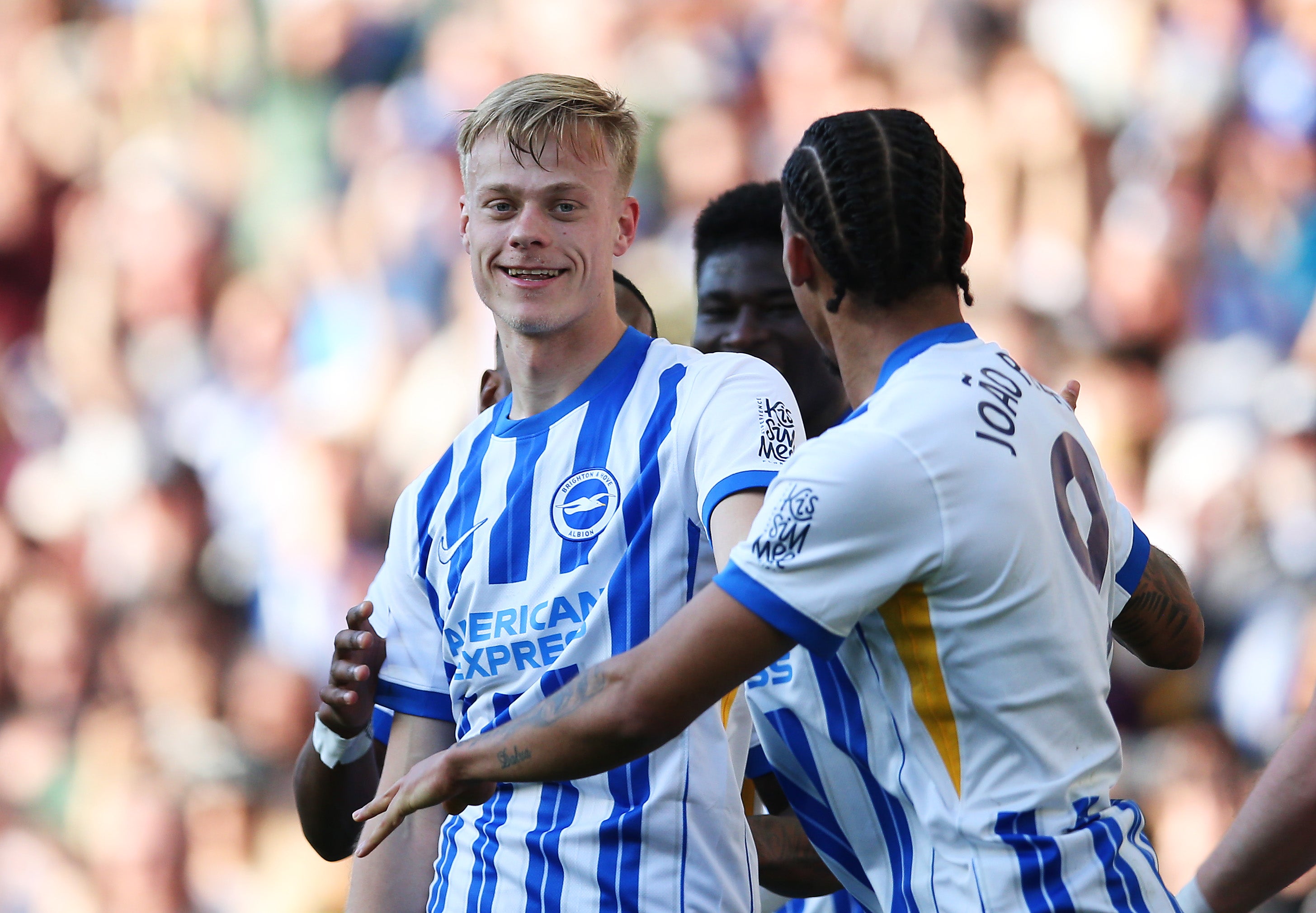 Jan Paul van Hecke on Brighton’s next step and lessons from Virgil van Dijk