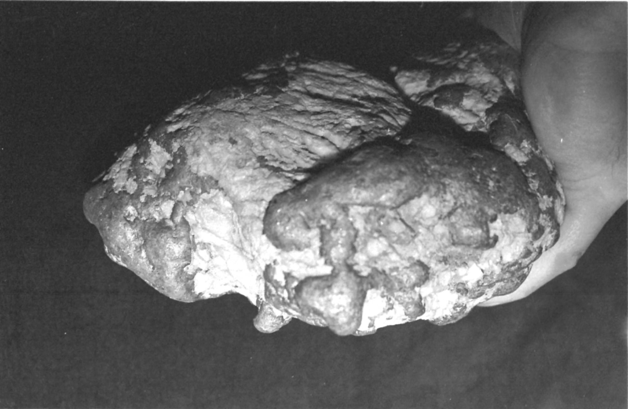 Gold nugget weighing 6.6kg (14lb) found in a mine on Qilian Mountain in northwest China