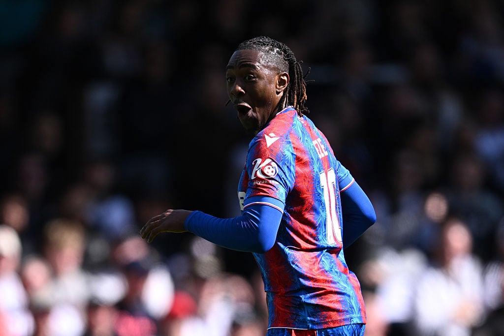 <p>Ebereche Eze starred as Crystal Palace booked their place in the FA Cup semi-finals</p>