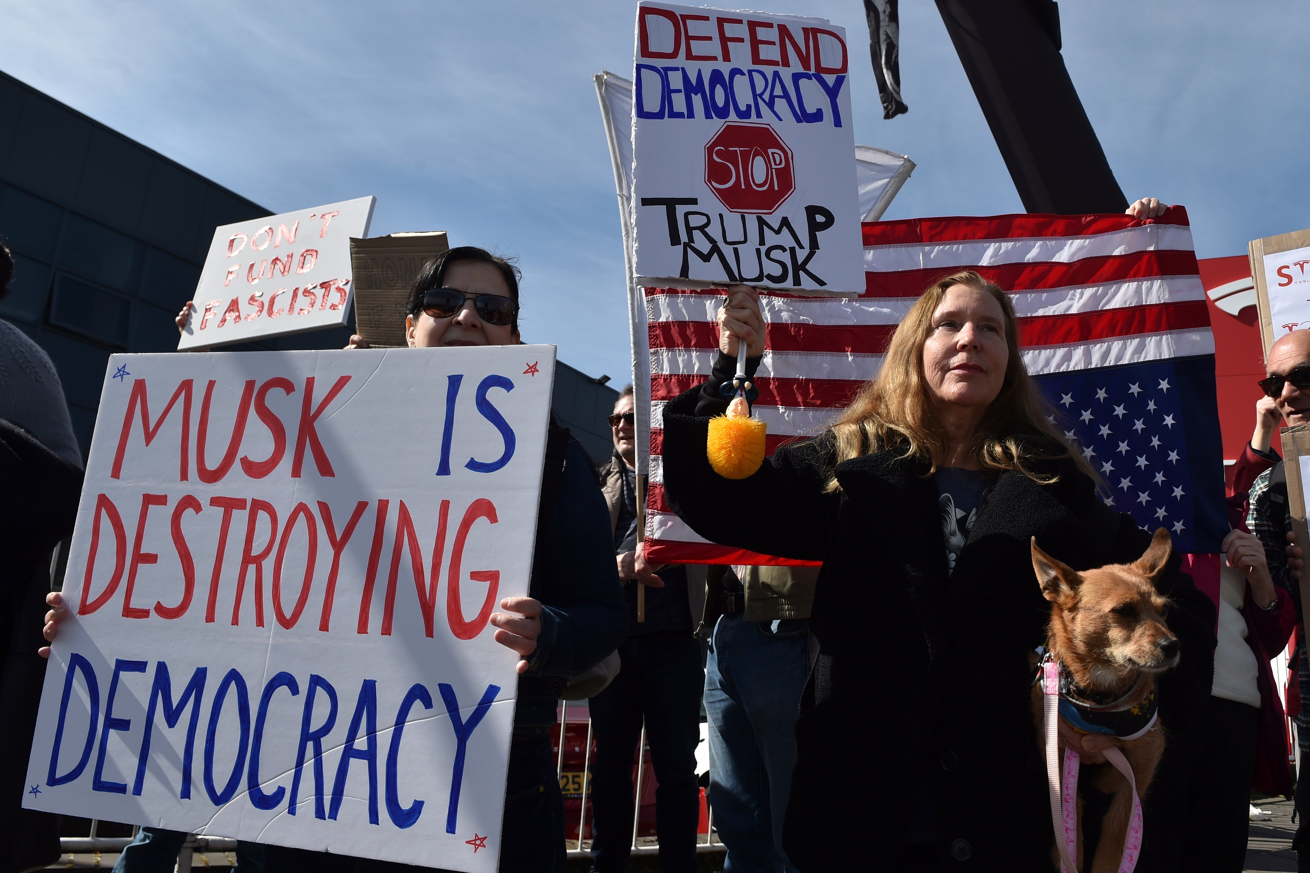 Britain Tesla Protests