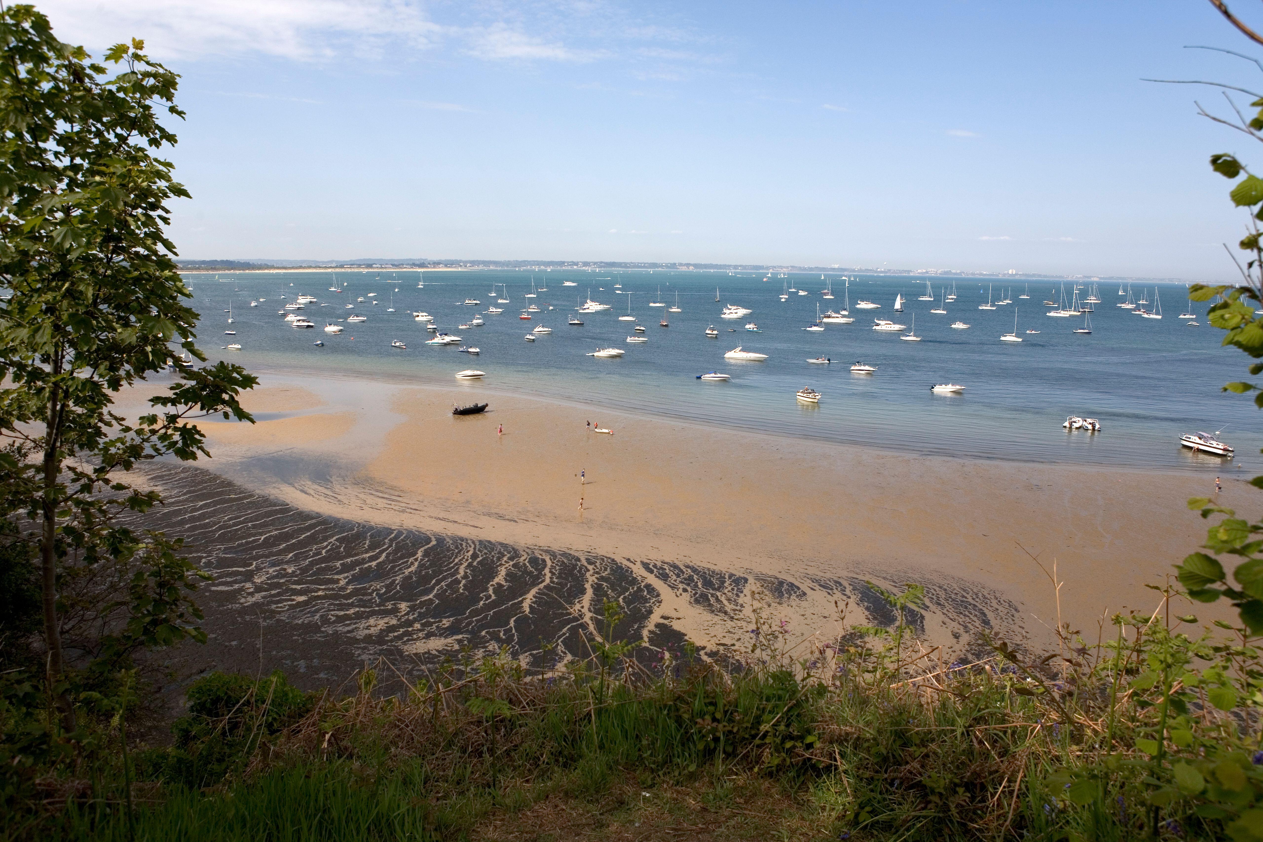 Studland Bay at low tide