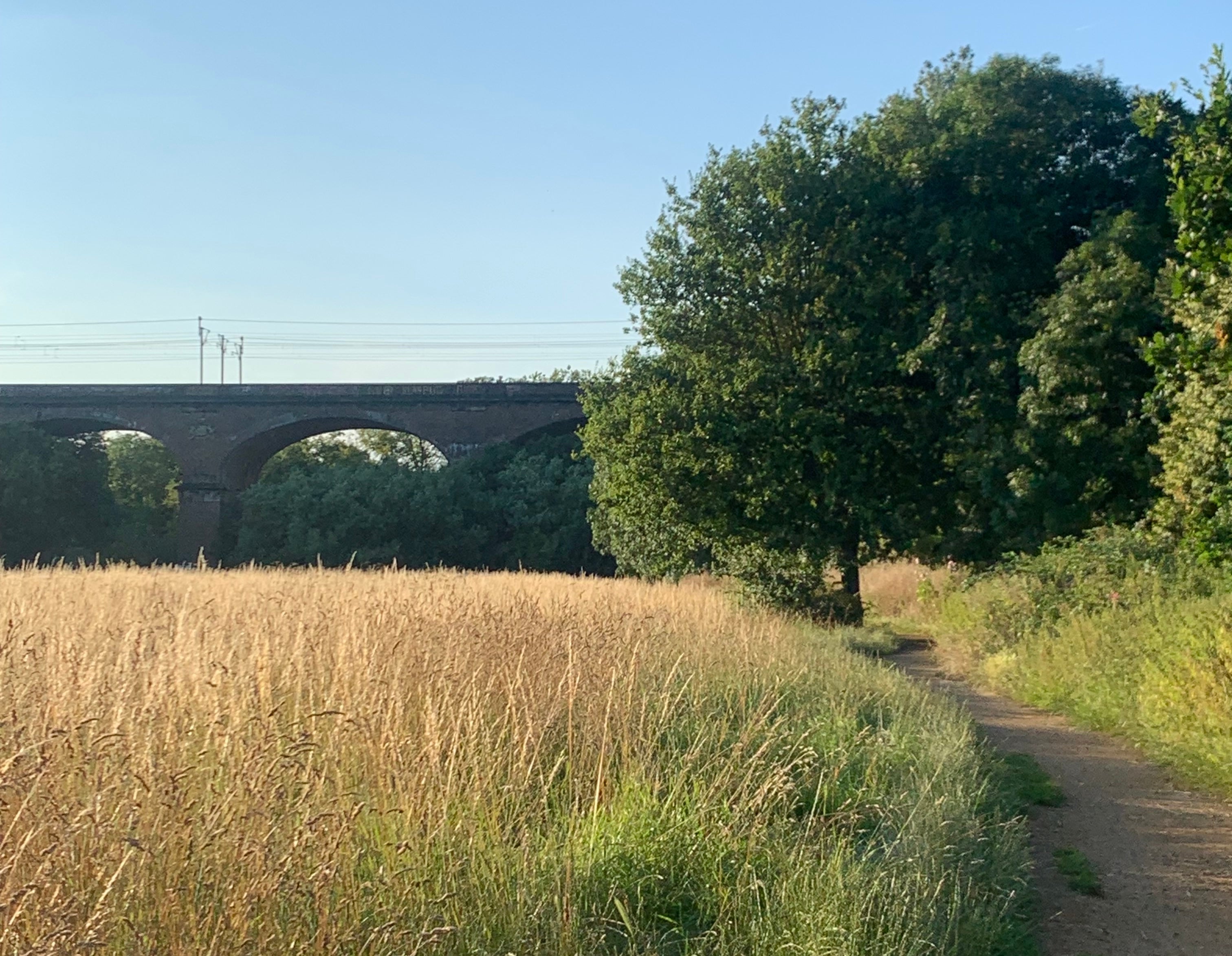 Isambard Kingdom Brunel’s Wharncliffe Viaduct on the Capital Ring walking route