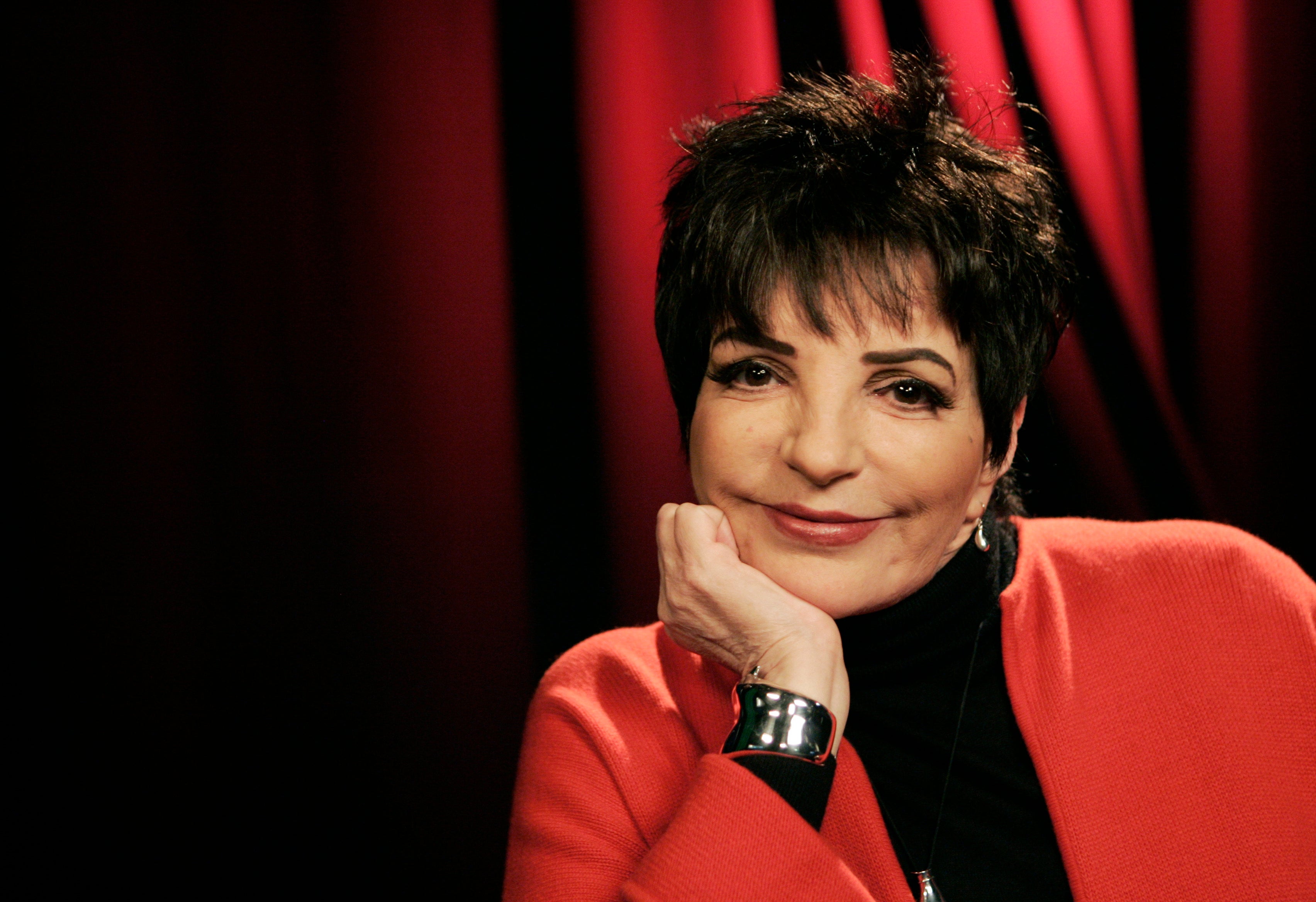 TV-Liza Minnelli