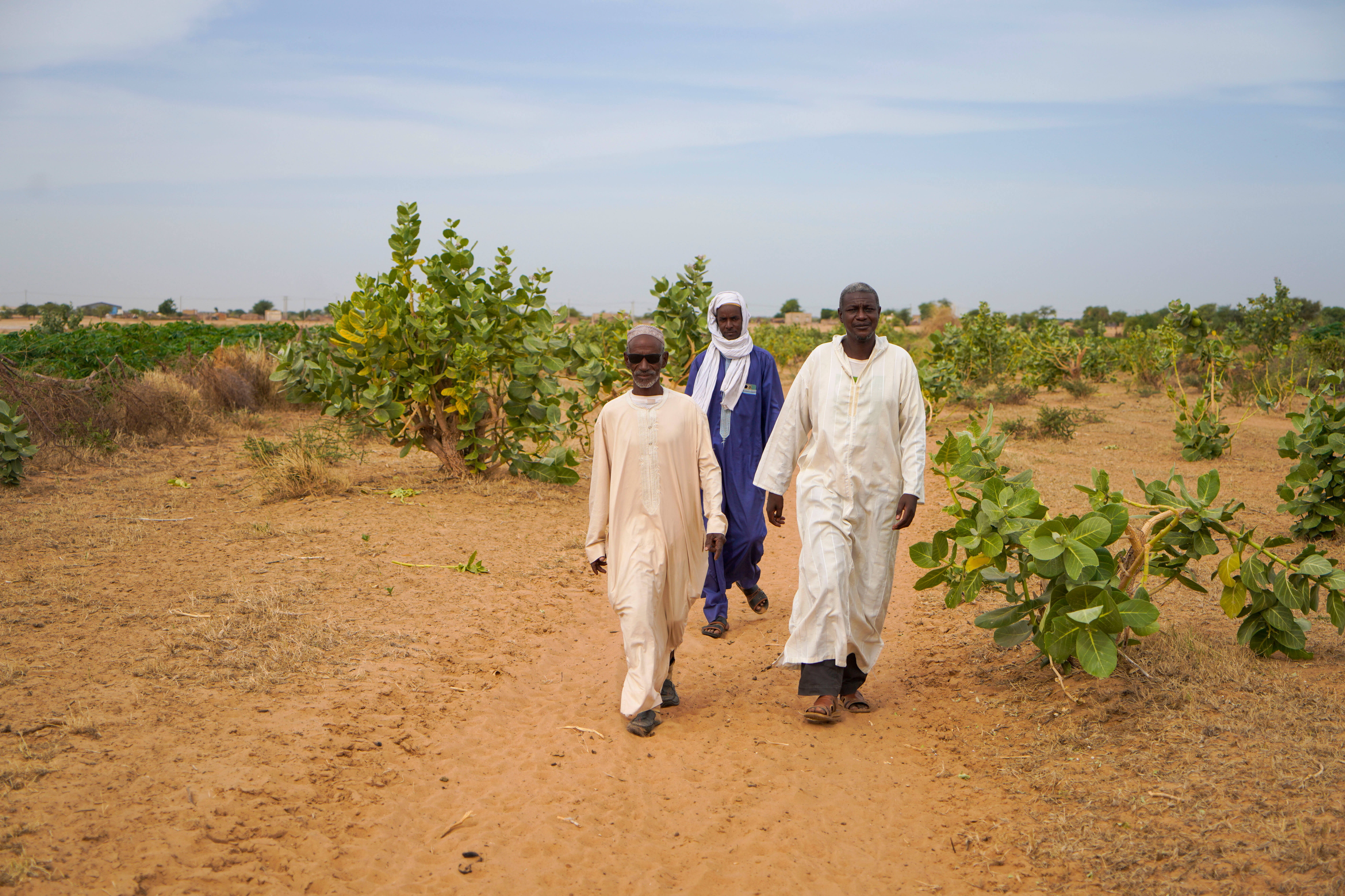 Senegal Land Dispute