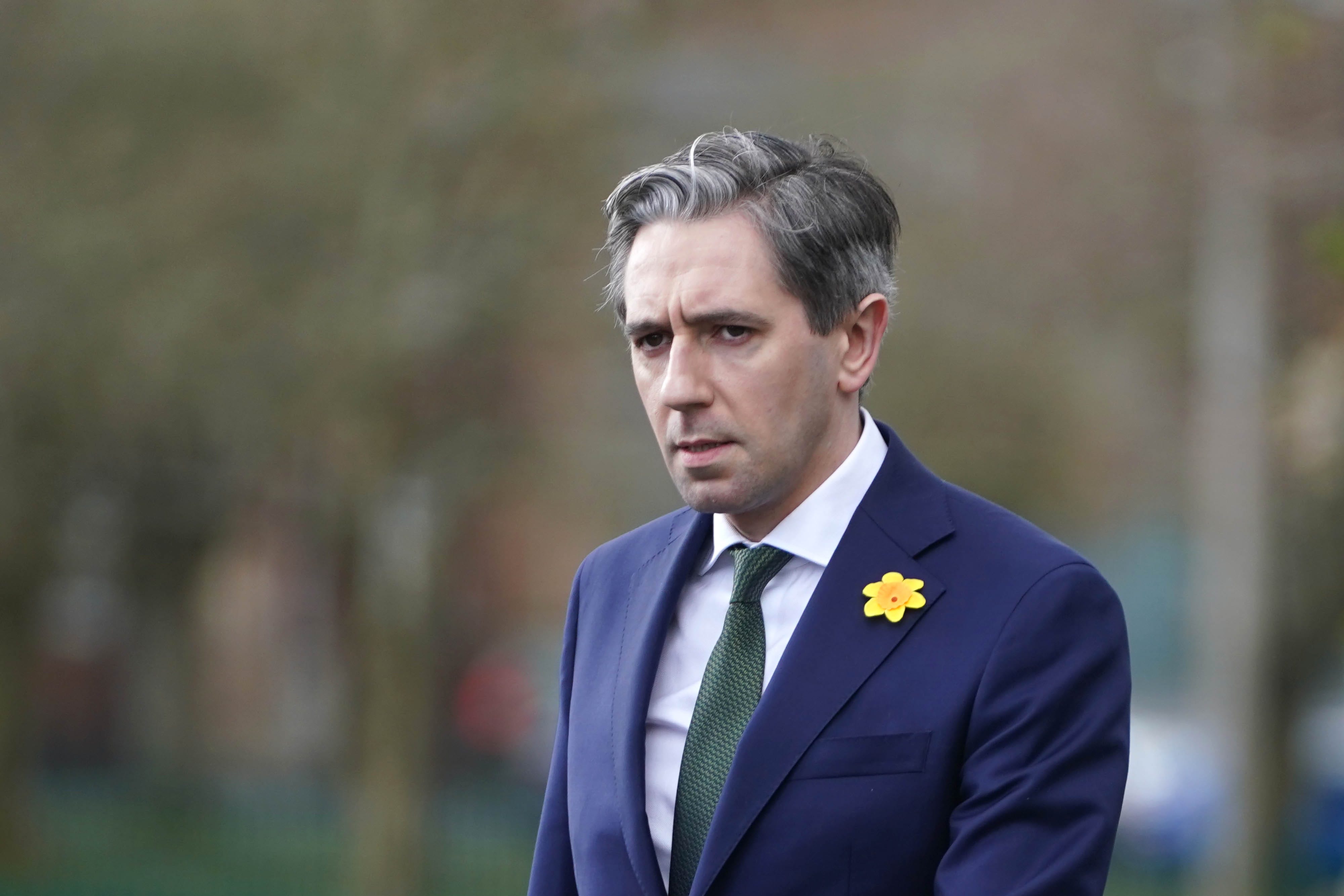 Export of pharmaceutical products from Ireland to the US could reduce by around a half if the US President imposes a 20% tariff and the EU responds by applying the same tariff, the deputy Irish premier has said.