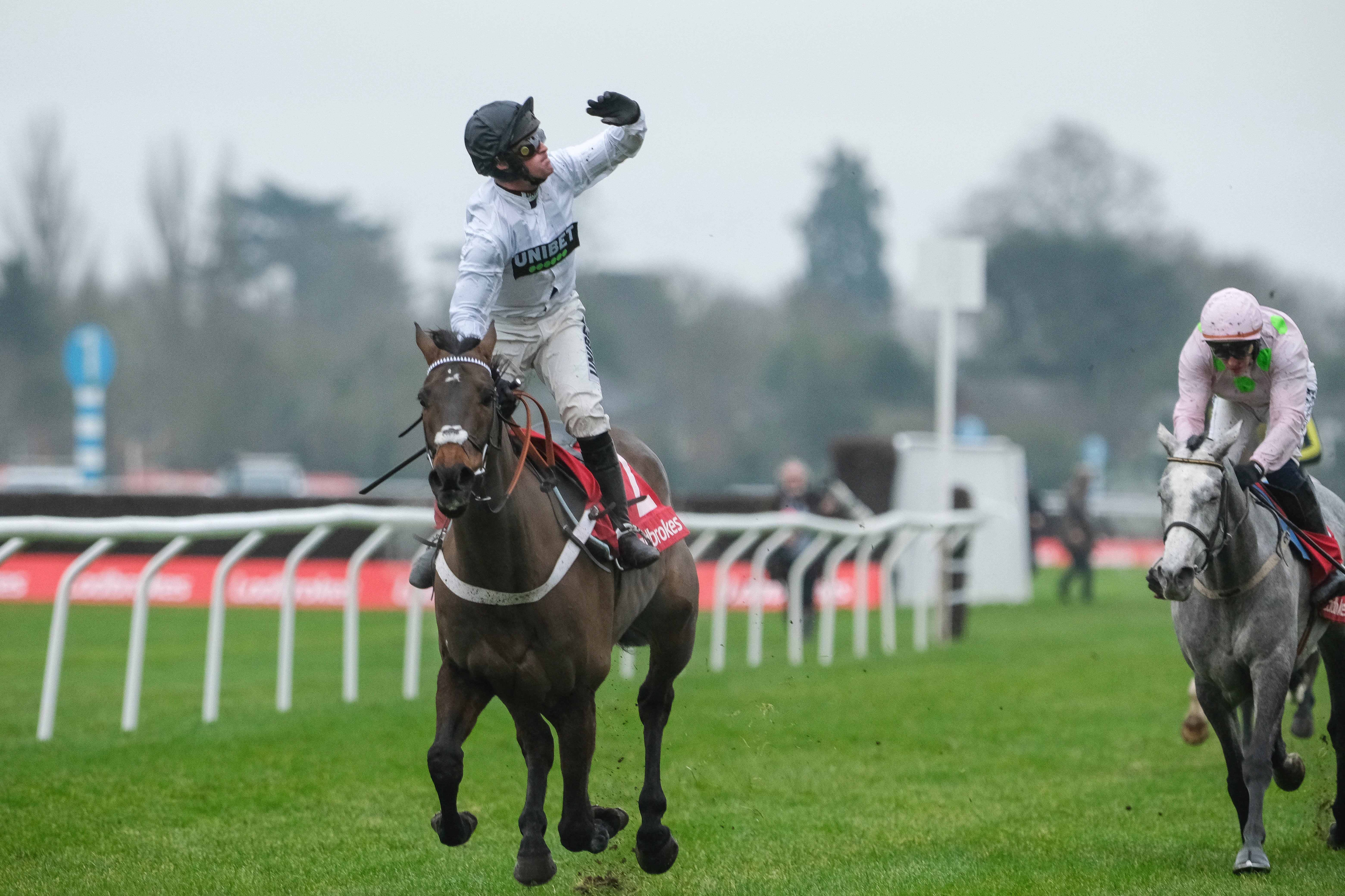 Constitution Hill (centre) will aim to repeat the impressive victory over Lossiemouth (right) that was secured at Kempton
