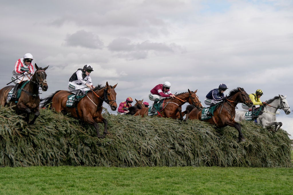 The Grand National will take place on 5 April this year