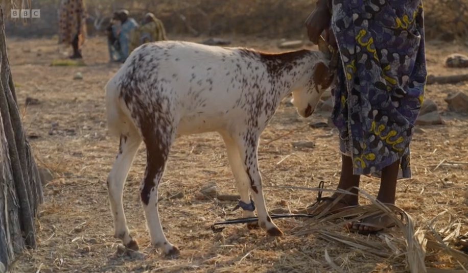 Bruce Parry’s new TV show ‘Tribe’