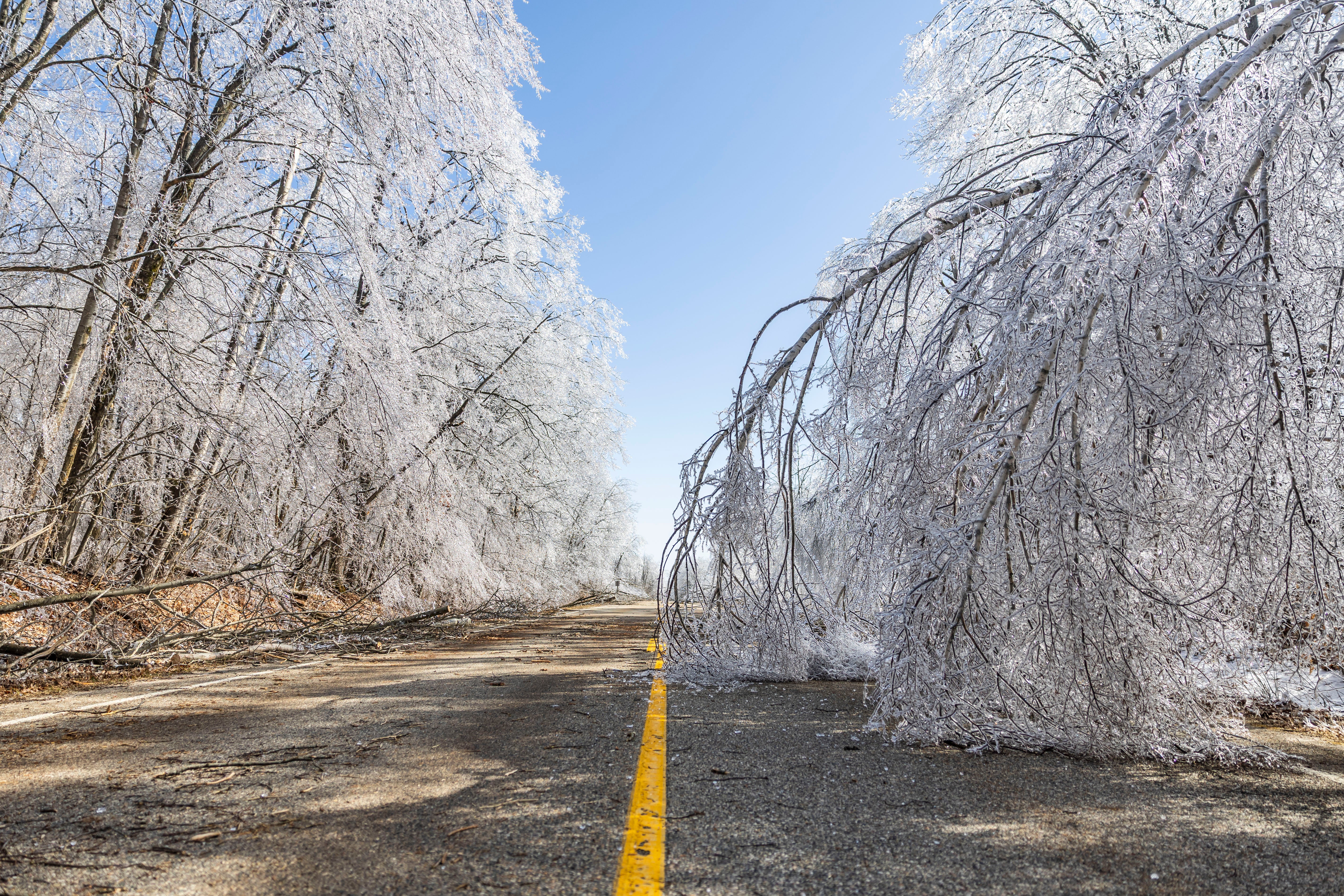 Storm Woes-Michigan
