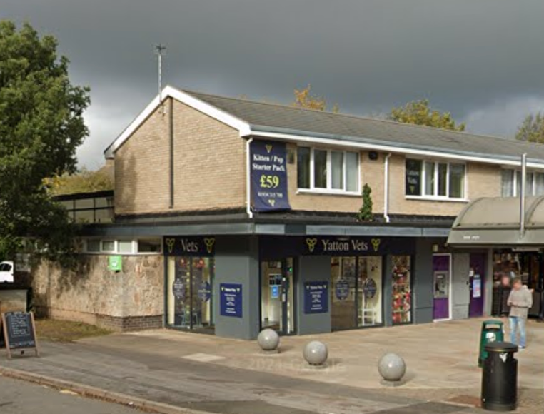 Ms Johnson began working at Yatton Vets in Bristol in September 2023, and almost fell asleep on a dog on the operating table on her first full day.