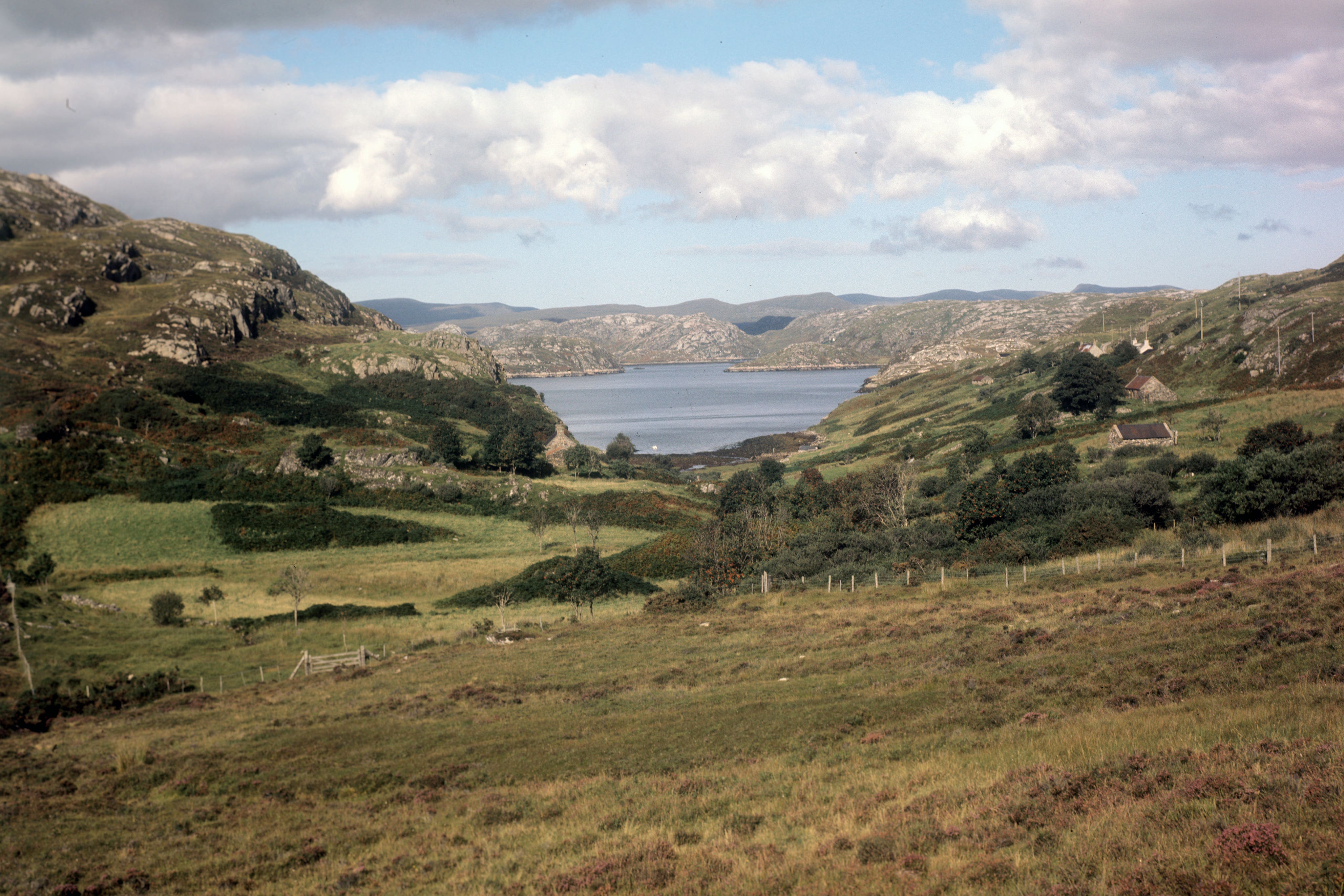 A Scottish Loch surrounded by nature (PA)