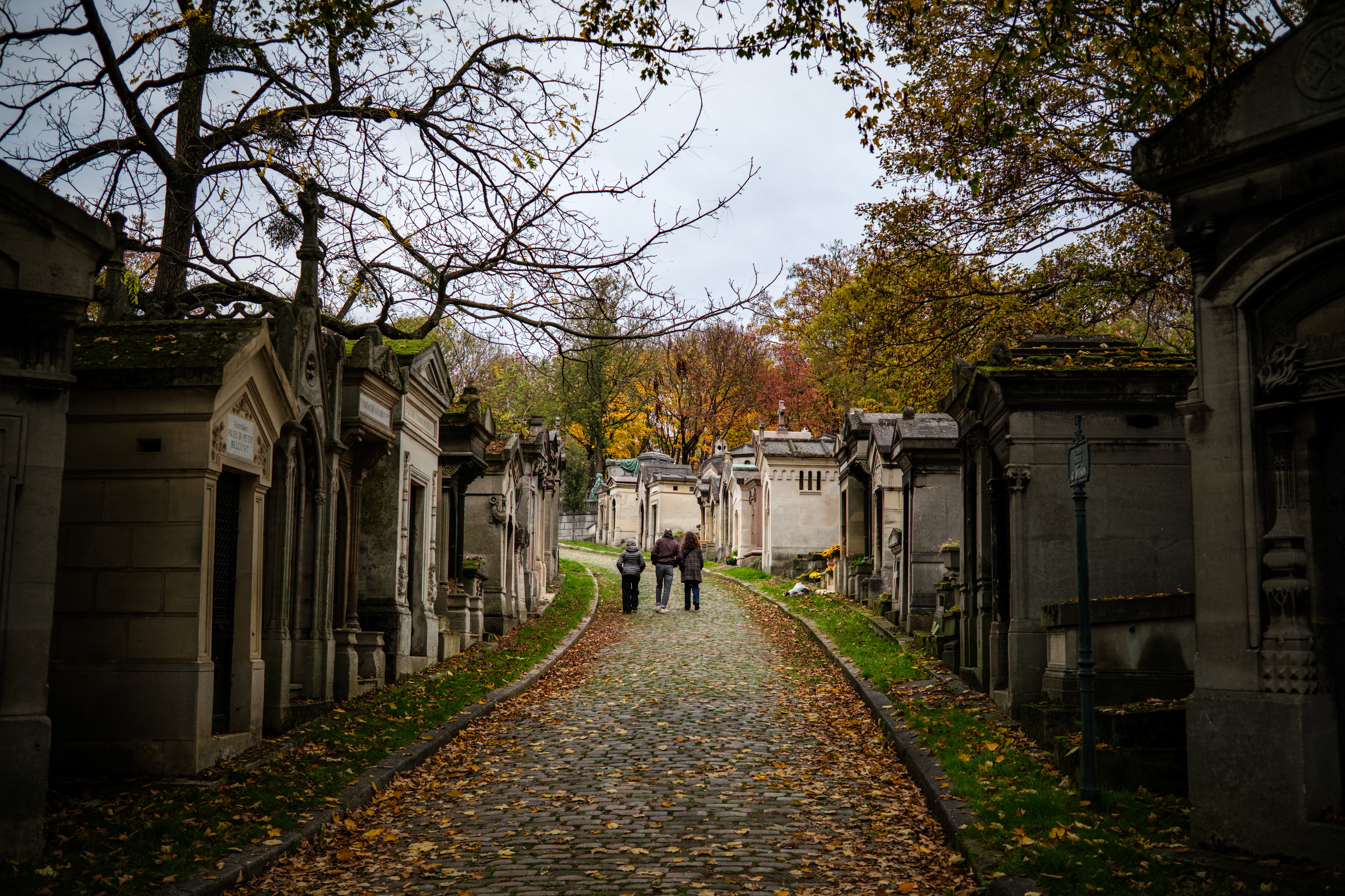 The tree-lined lanes of Père Lachaise