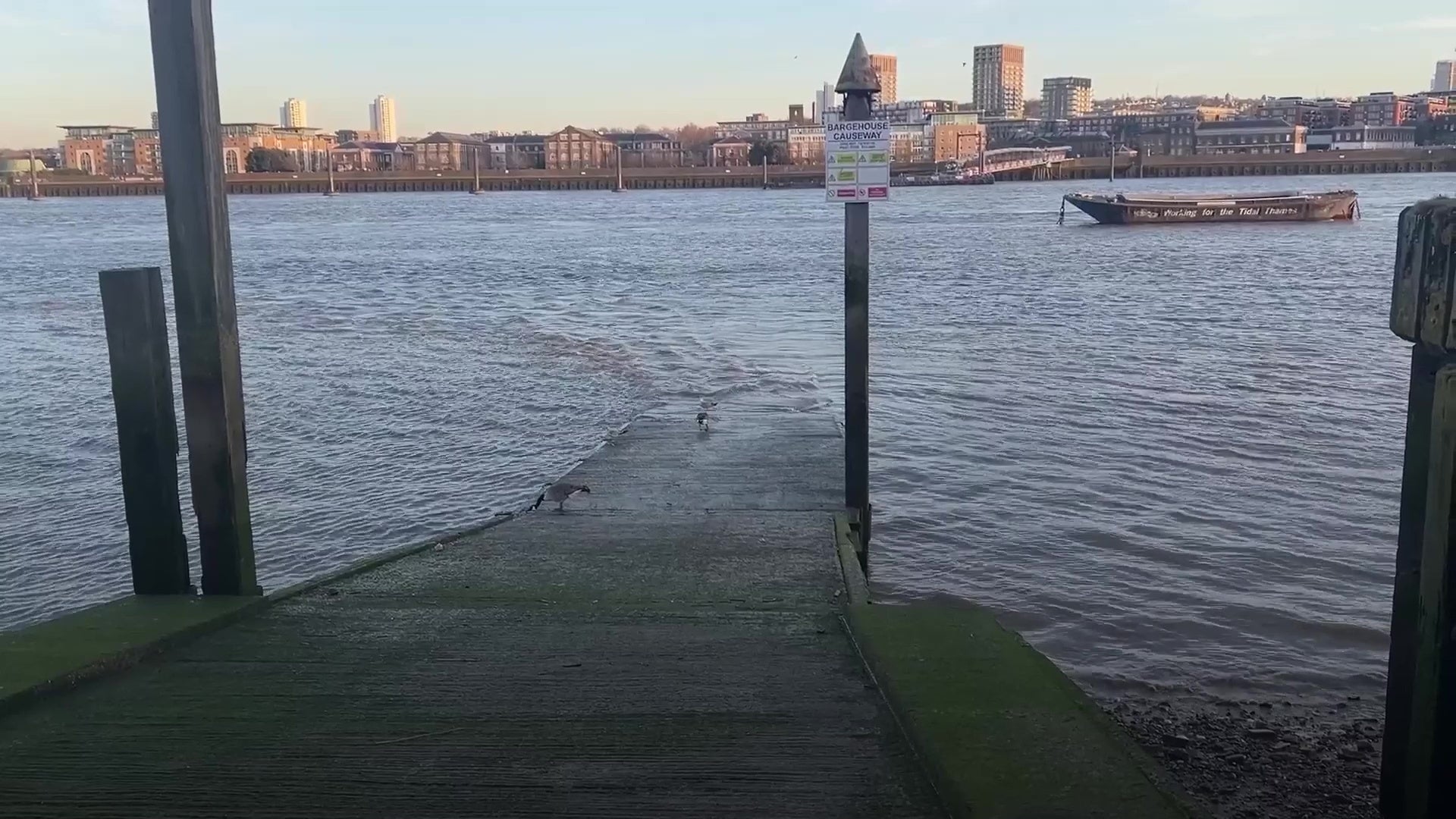 Kaliyah Coa entered the River Thames at Barge House Causeway in east London last month