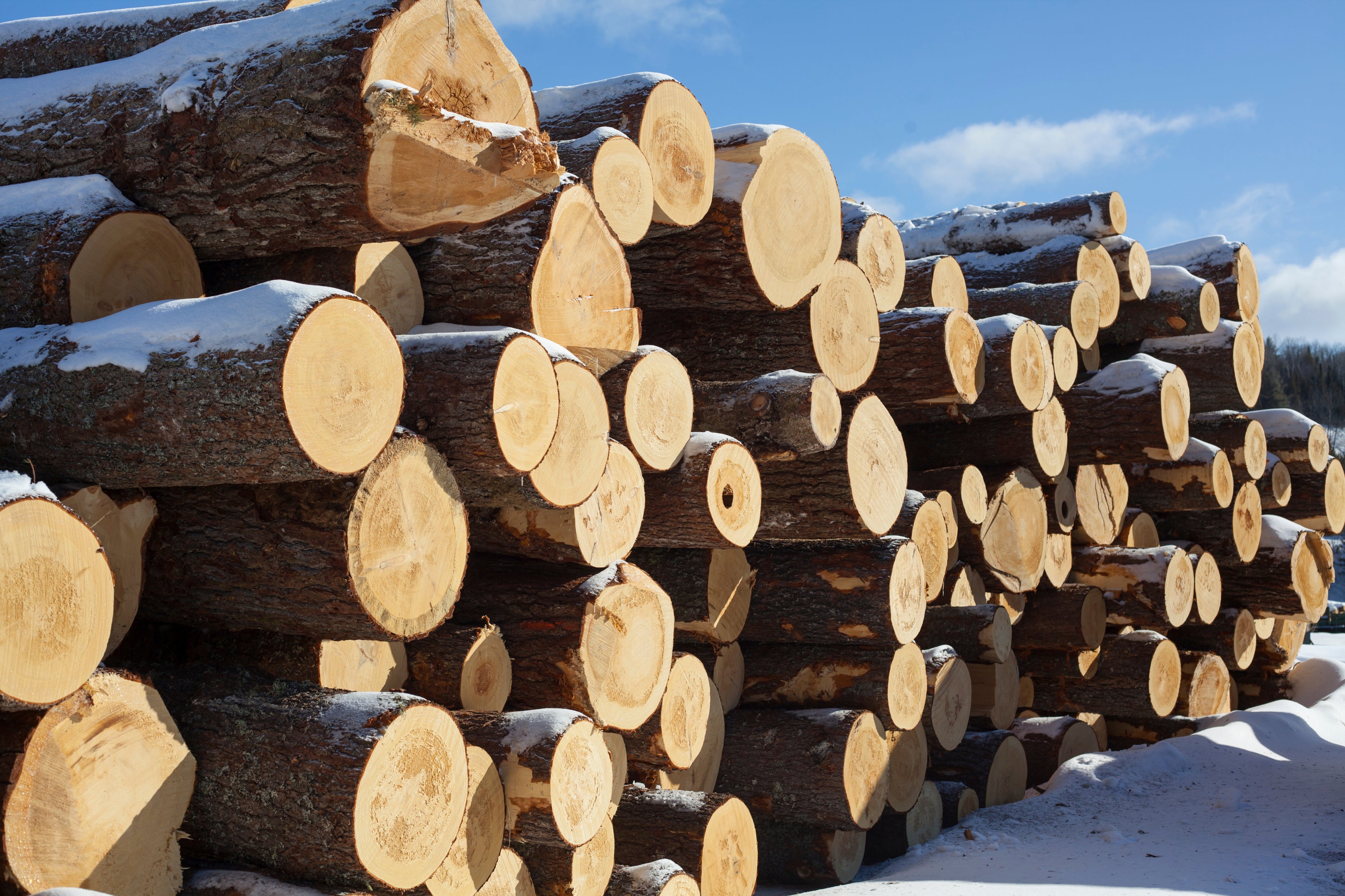 NCAA Court of Dreams Basketball