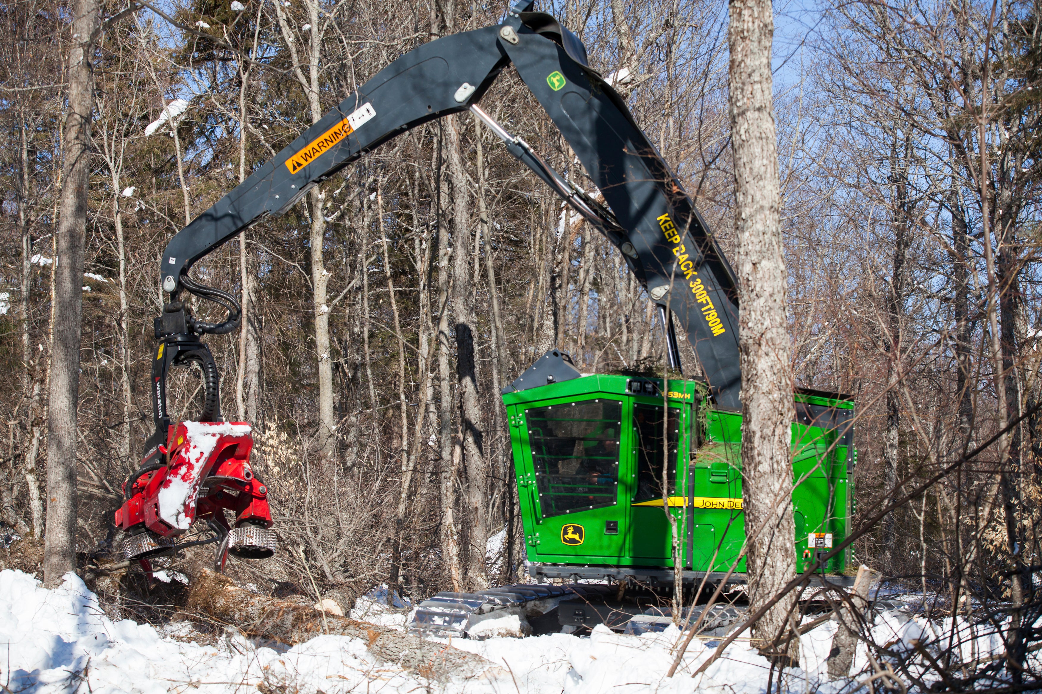 NCAA Court of Dreams Basketball