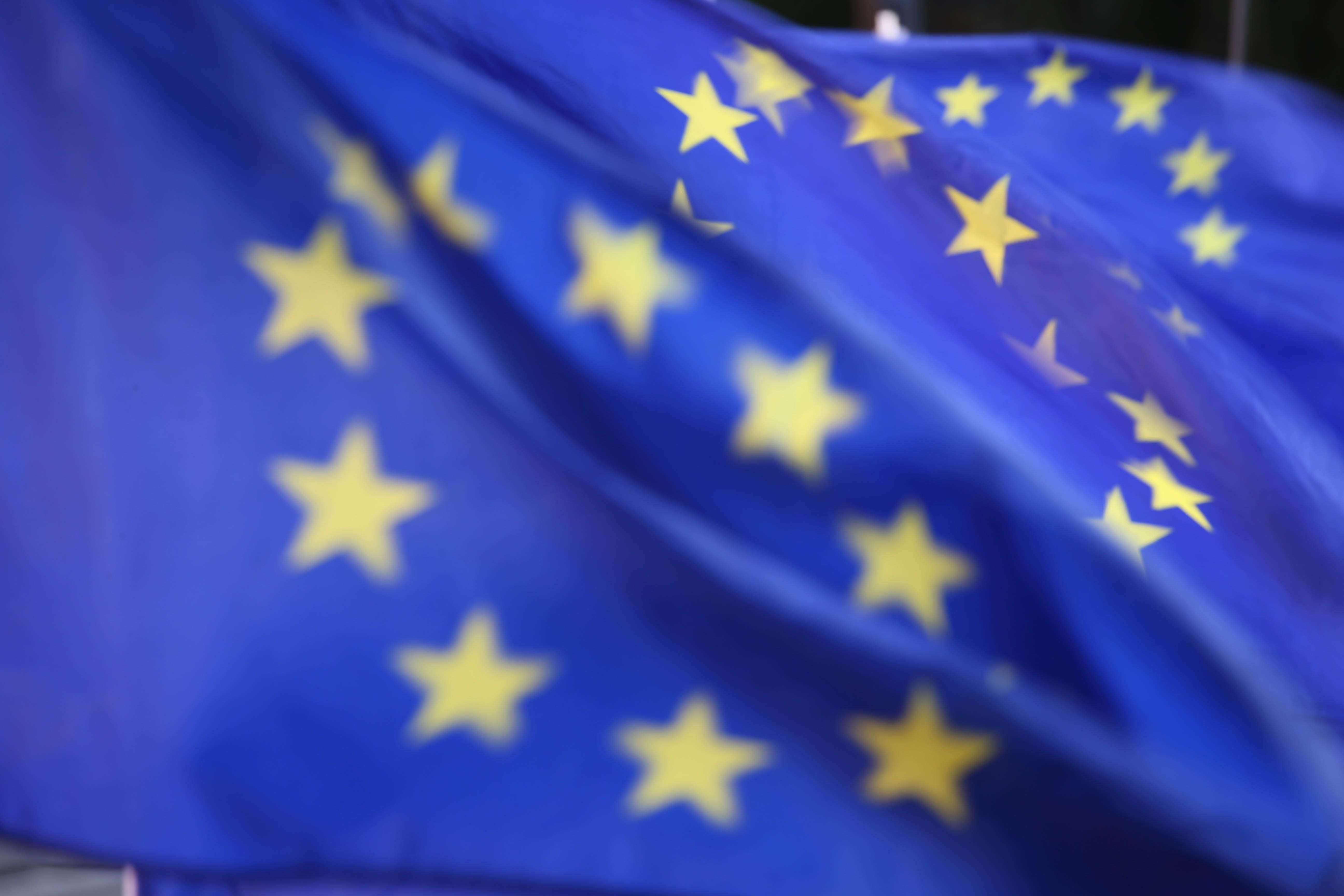 EU flags (Jonathan Brady / PA).