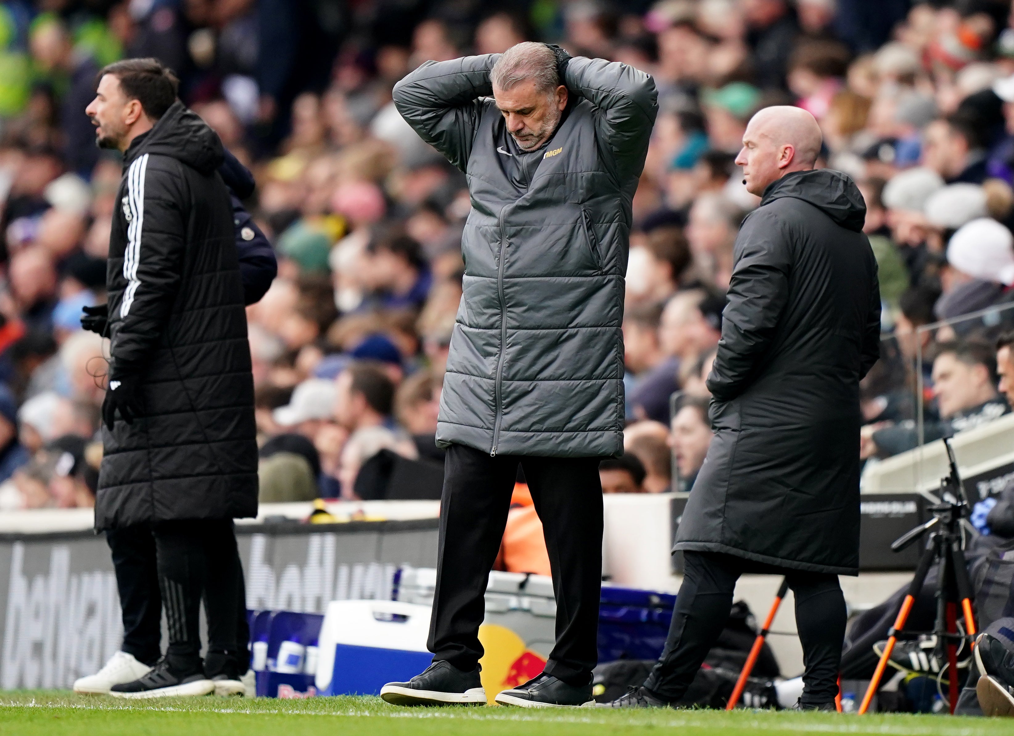 Ange Postecoglou is under pressure