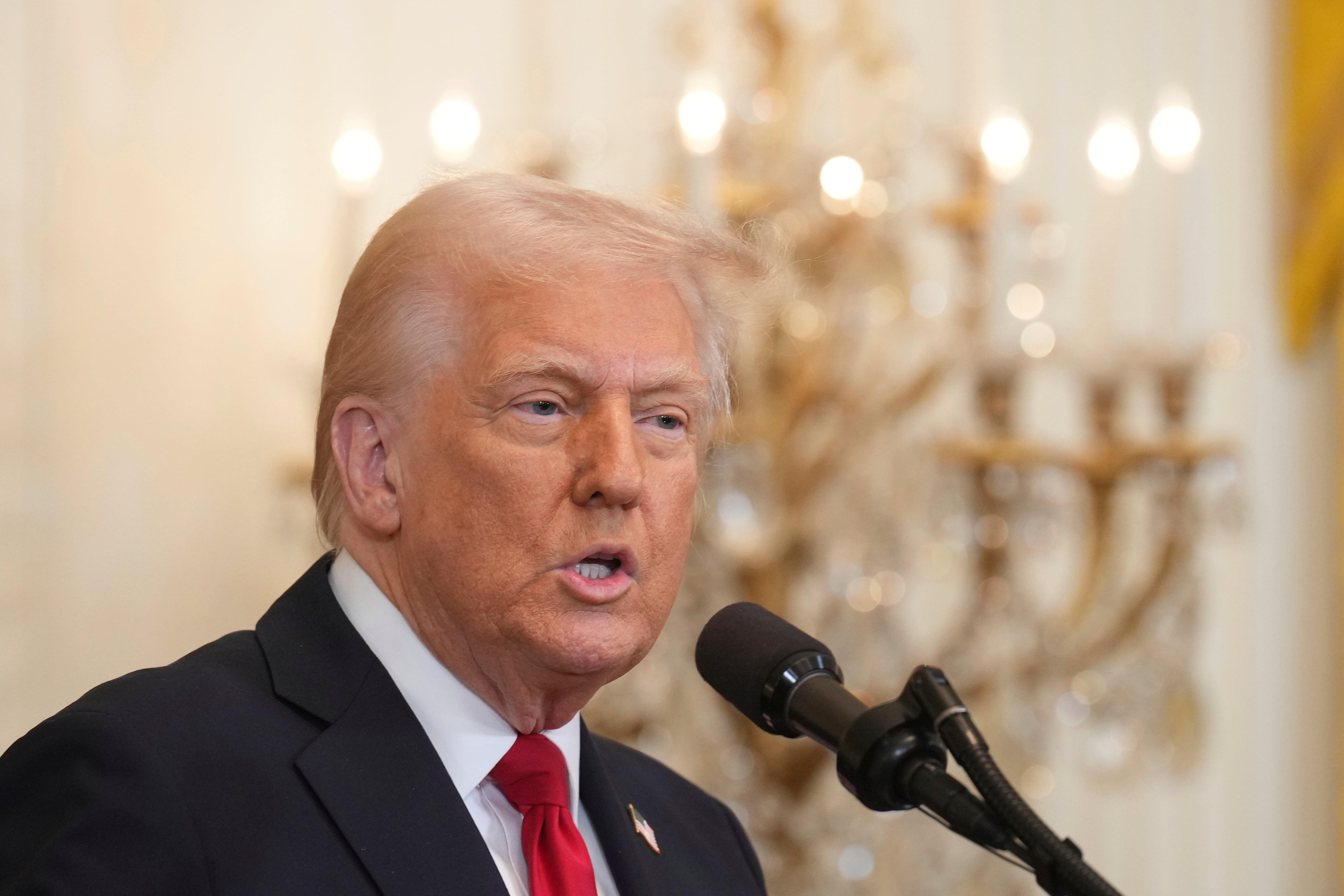 Trump has mused about running for a third term lately, including as recently as last weekend when he said he was ‘not joking’ about the idea