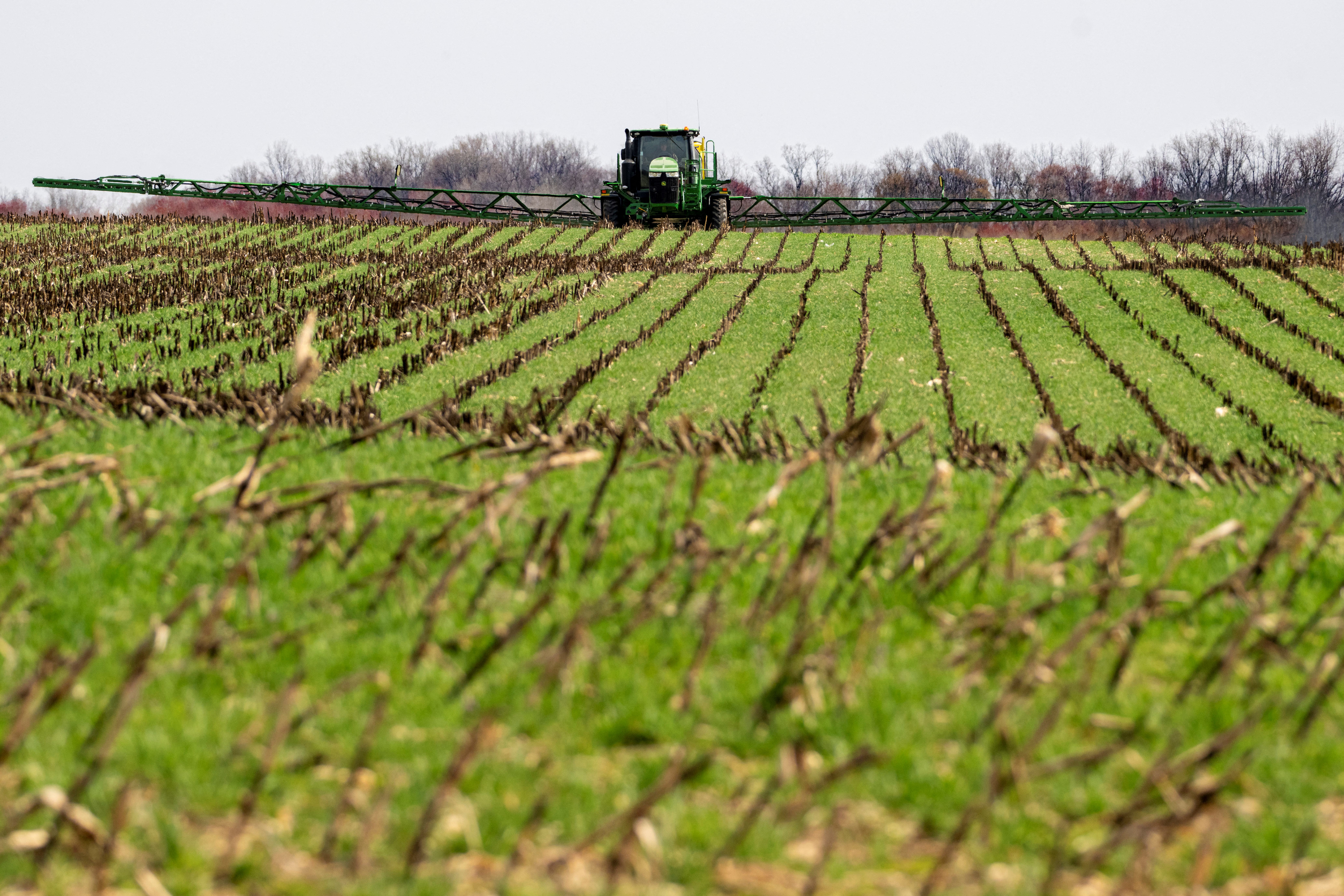 A tractor fertilizes the ground on a farm in Ruthsburg, Maryland, last month. American farmers may face significant hardship amid new widespread tariffs from the Trump administration
