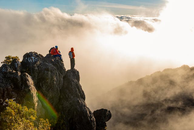 <p>Exploring Panama's Copia de Parque Nacional Barú</p>