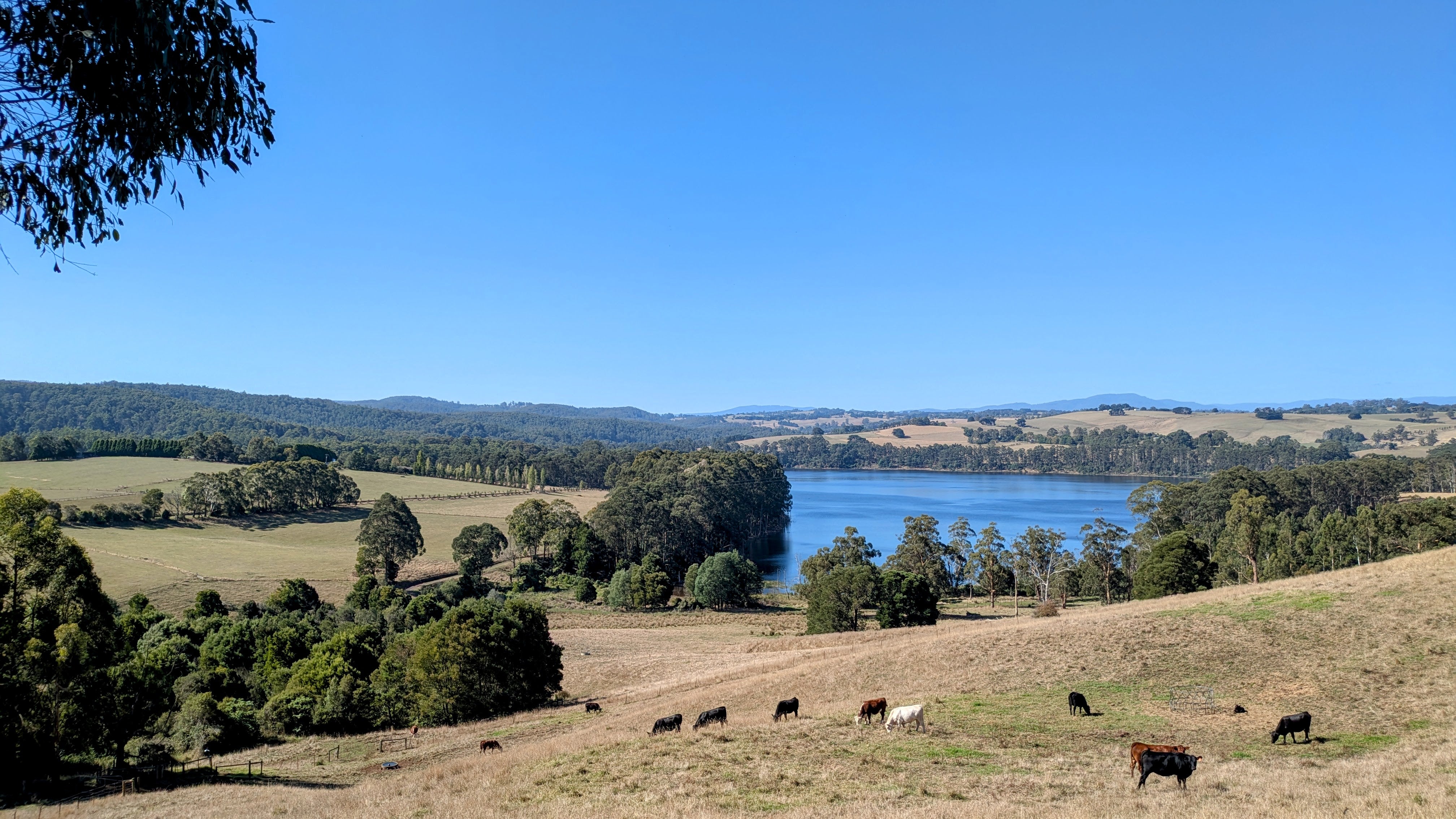 Tarago reservoir sits alongside Broughton Hall Gardens