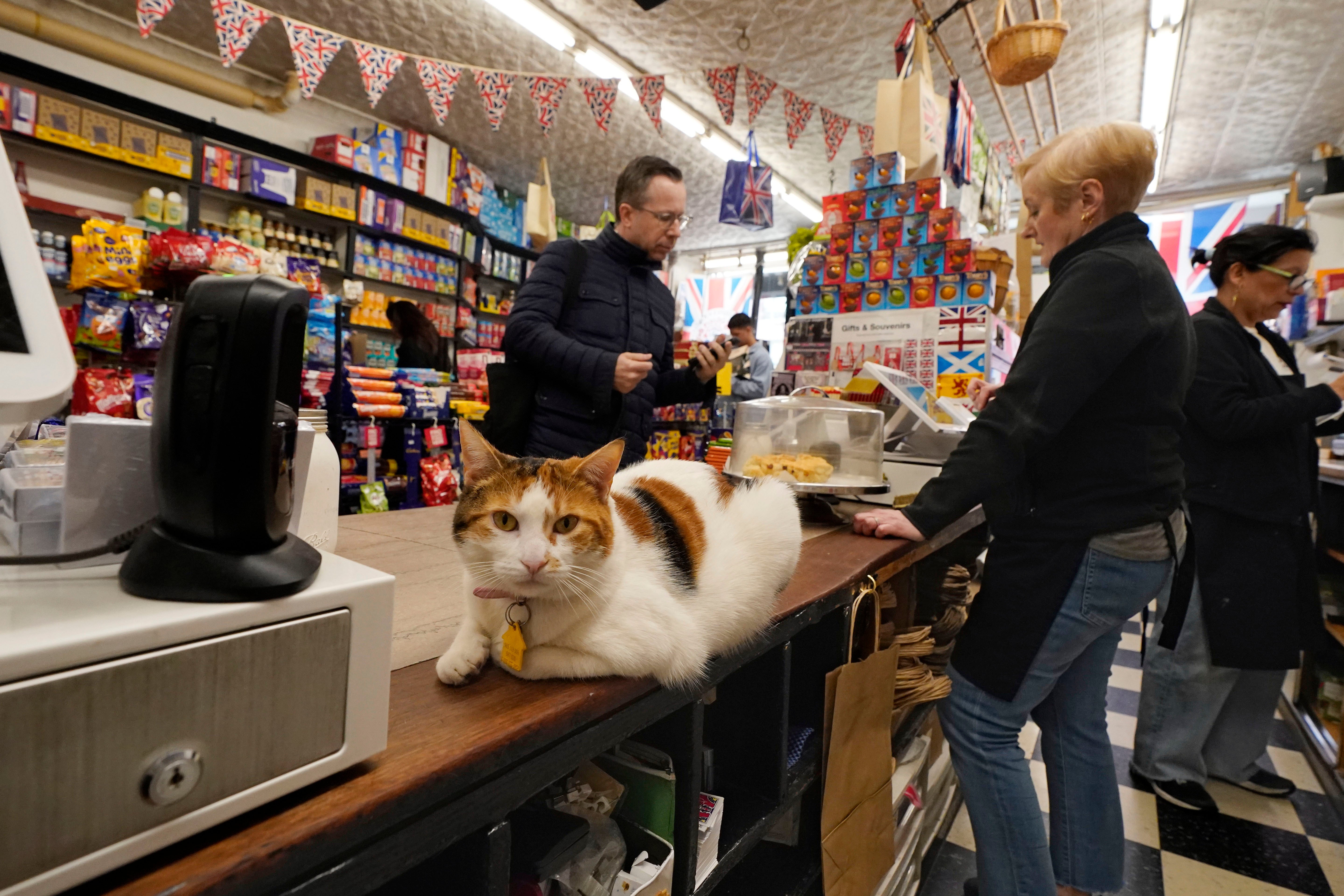Grace sits on the counter at Myers of Keswick as owner Irene Connelly helps a customer (AP Photo/Richard Drew)