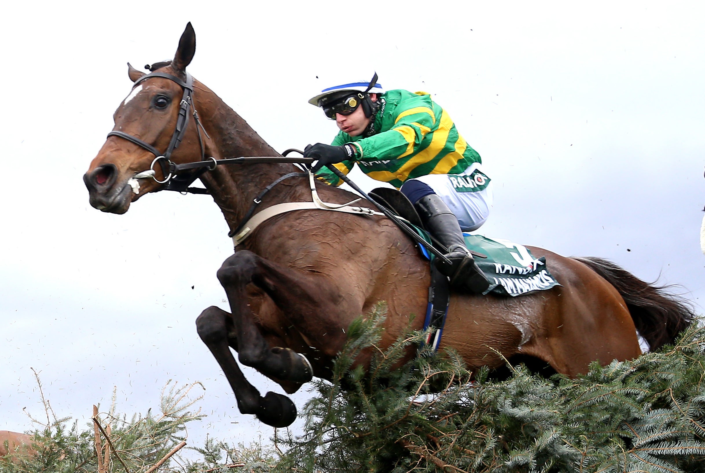 I Am Maximus and Paul Townend target more Grand National glory after triumphing in this race in 2024