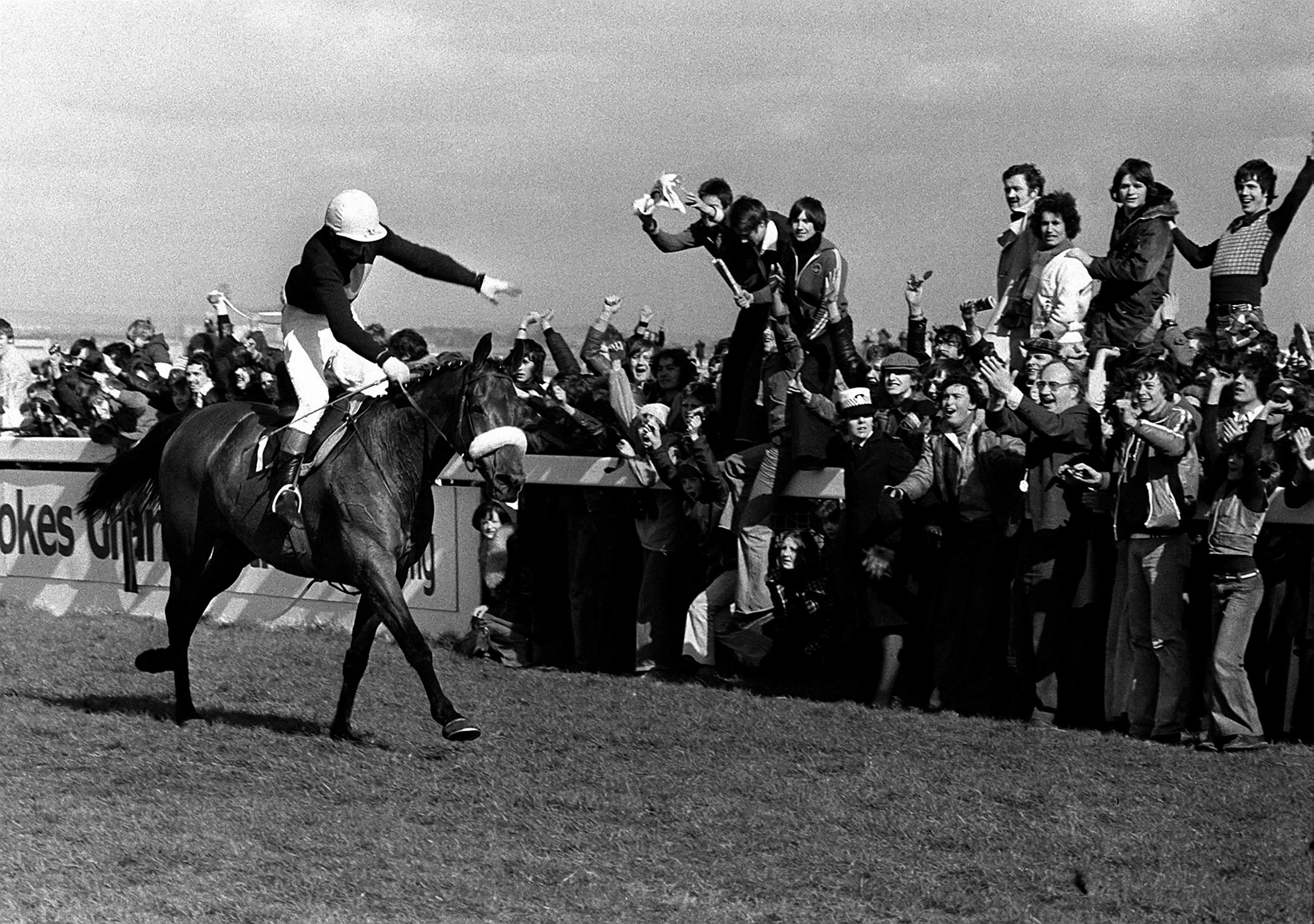Red Rum won the Grand National three times, more than any other race horse
