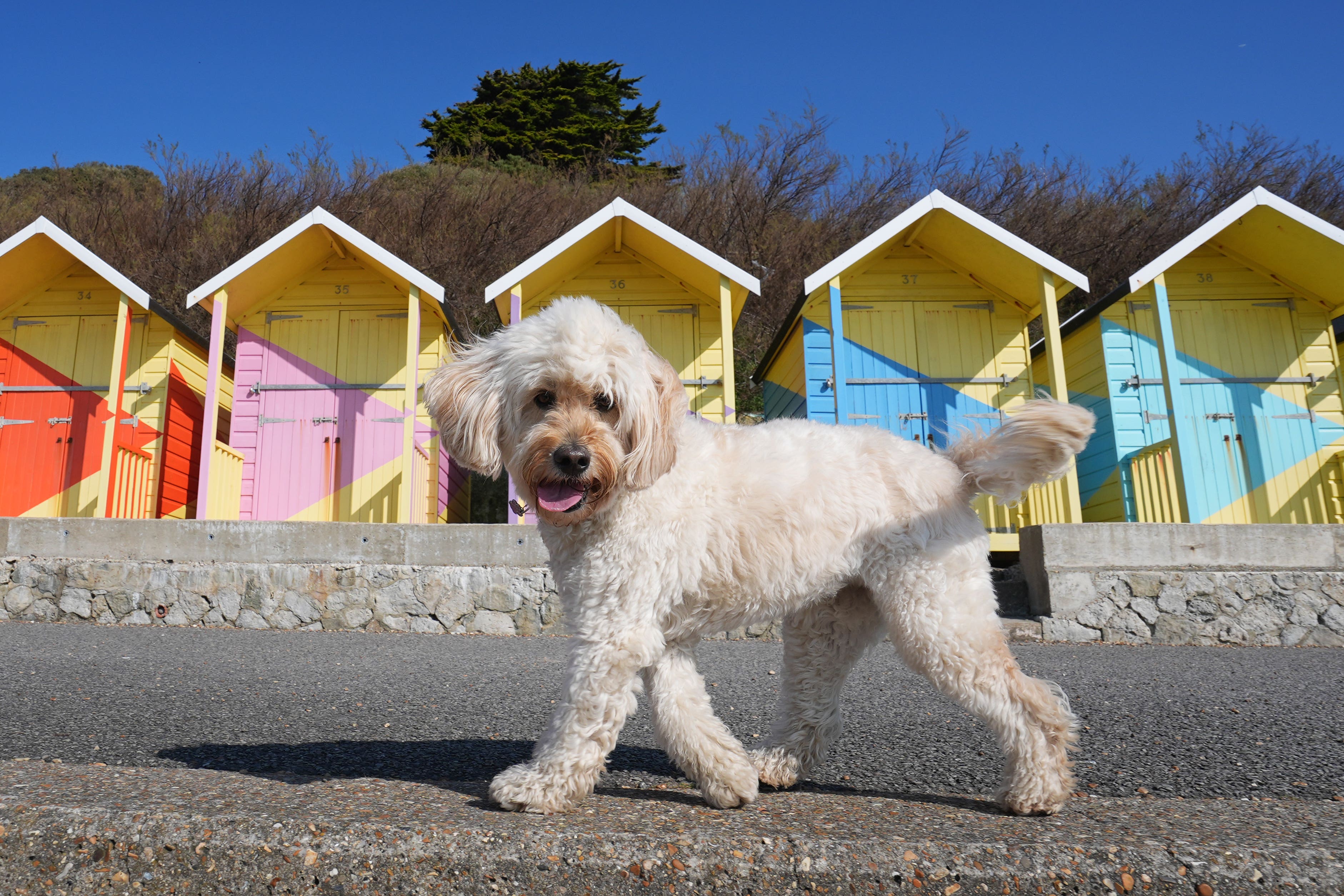 Temperatures could hit 24C on Friday (Gareth Fuller/PA)