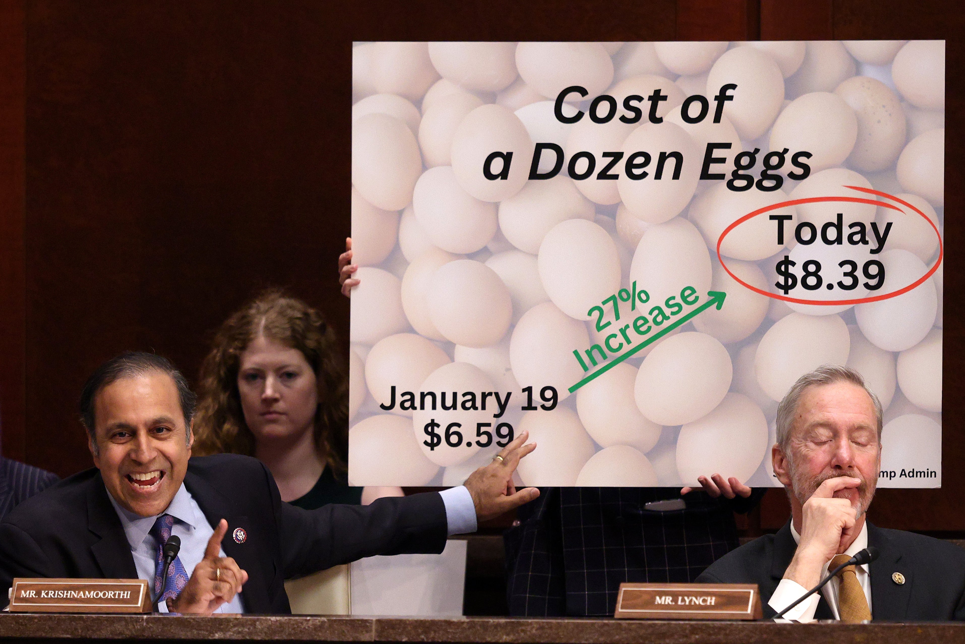 Illinois Democratic Rep. Raja Krishnamoorthi and other Democrats have launched an investigation into this administration’s response to bird flu. Dozens of people have been sickened by the virus