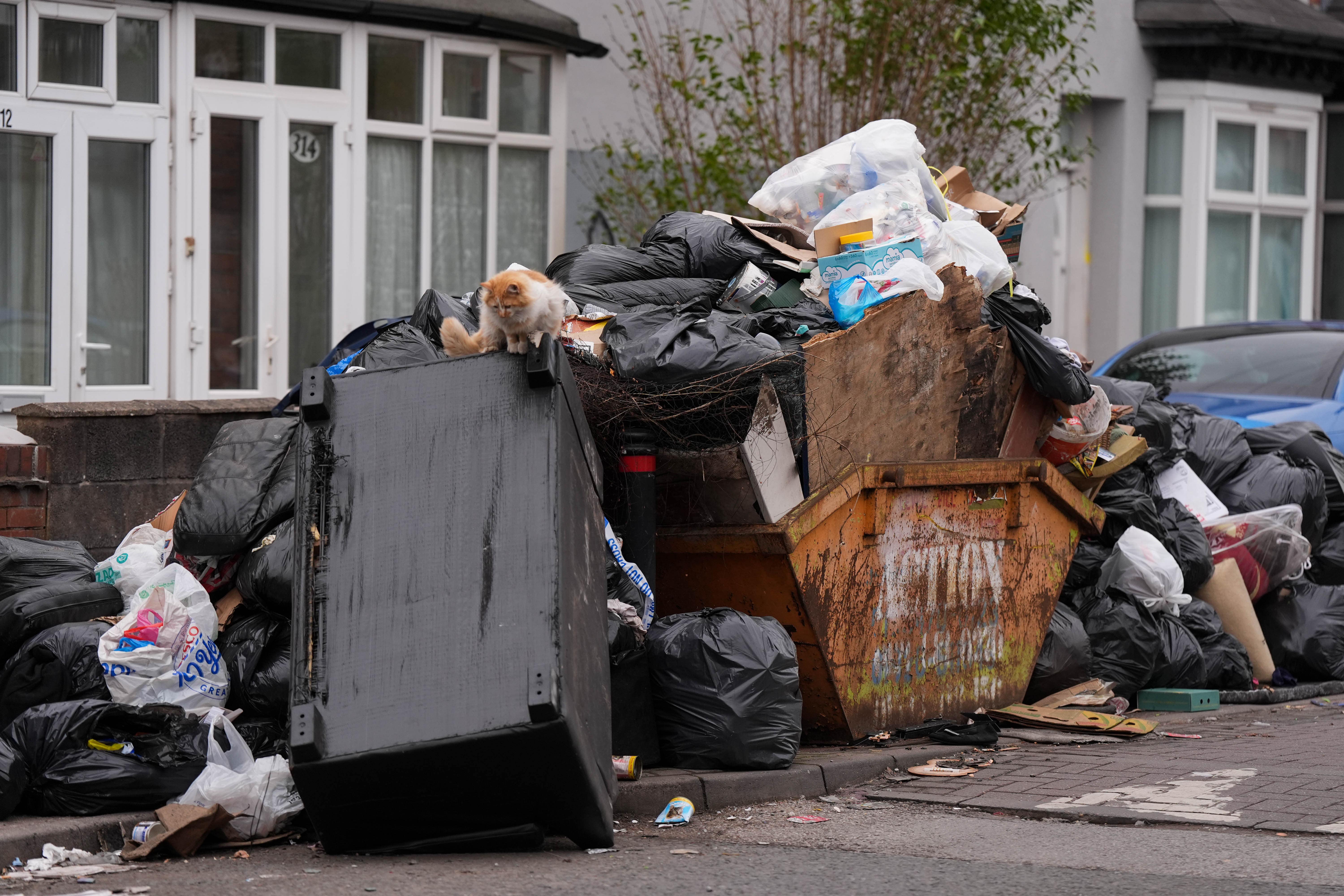 A weeks-long strike by refuse workers in Birmingham has left tonnes of rubbish piled up in the city’s streets. (Jacob King/PA)